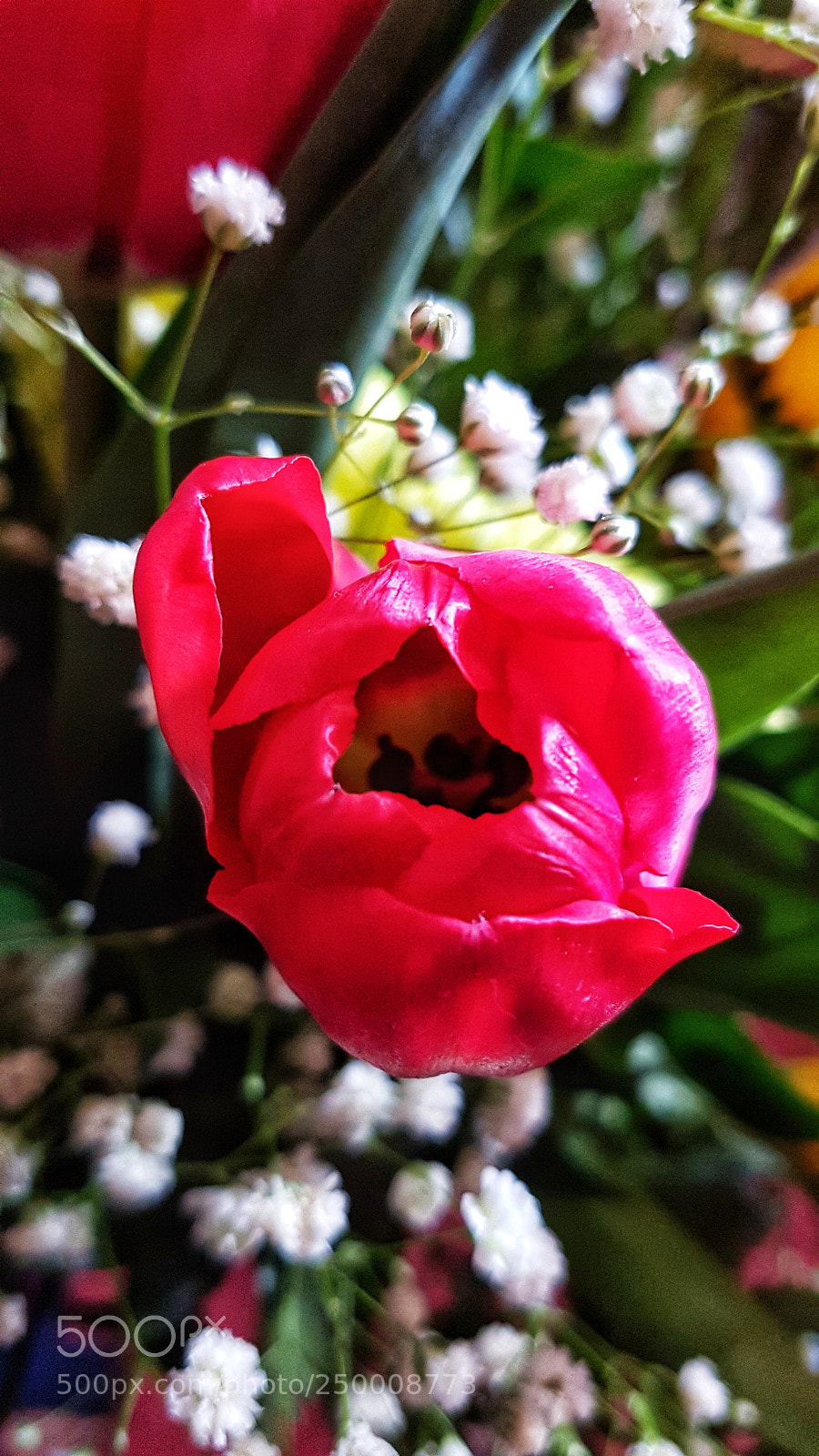 Samsung Galaxy S7 Edge sample photo. Untitled photography