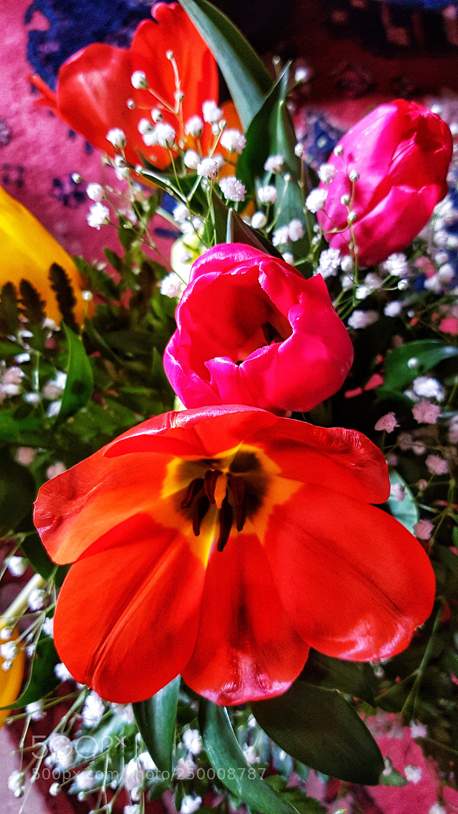 Samsung Galaxy S7 Edge sample photo. Untitled photography