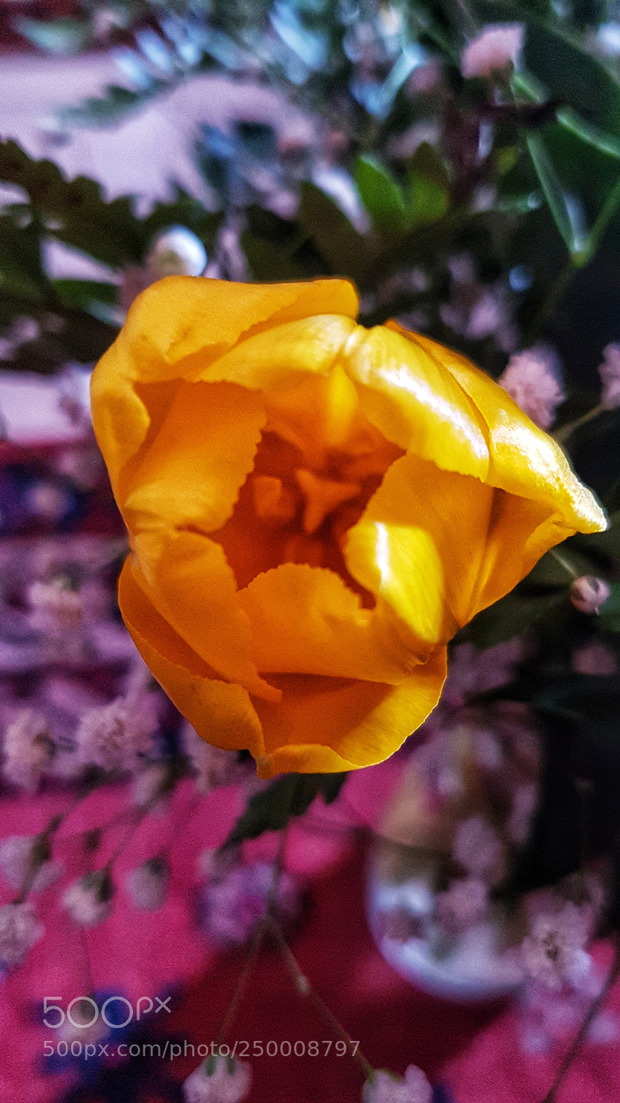 Samsung Galaxy S7 Edge sample photo. Untitled photography