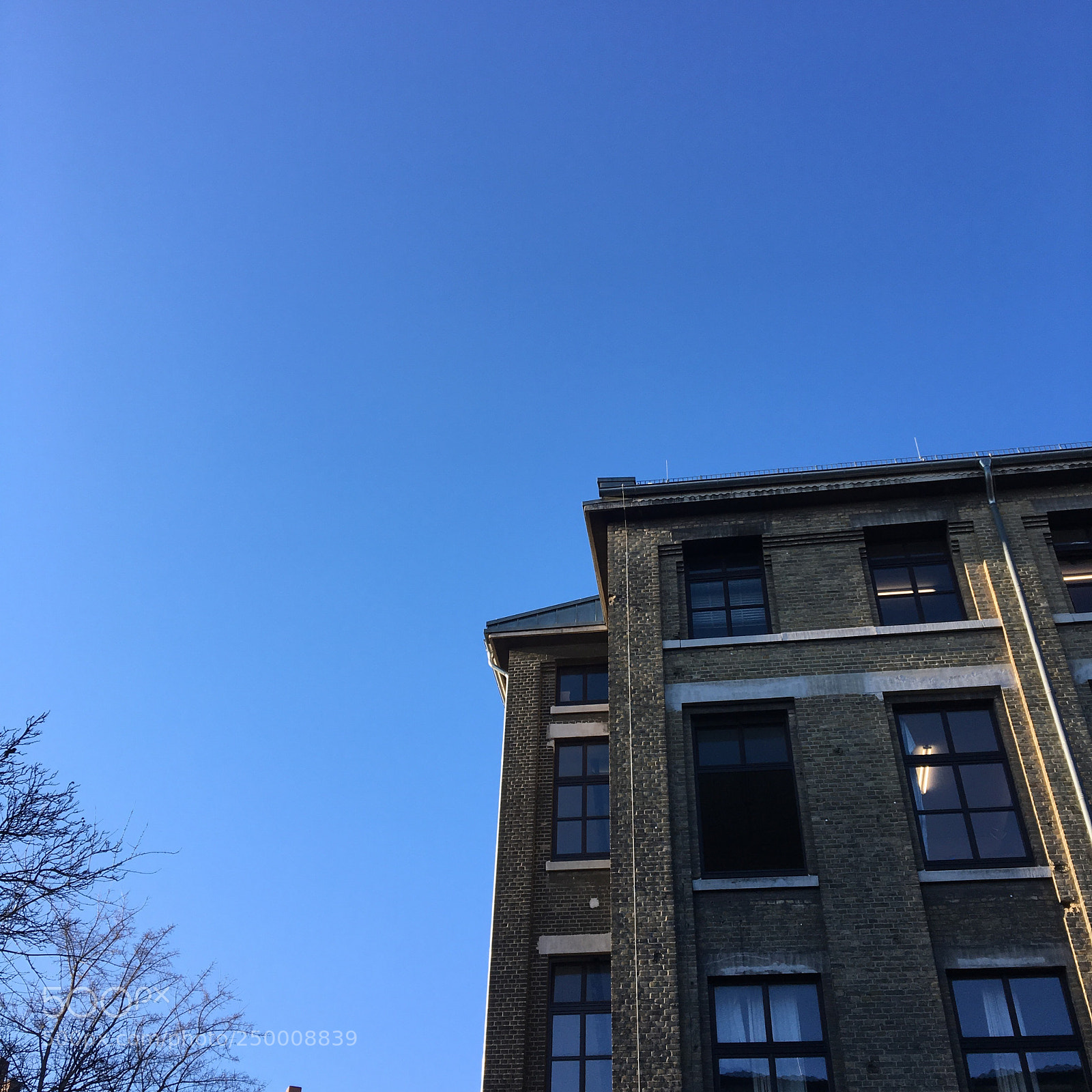Apple iPhone 6s sample photo. Untitled photography