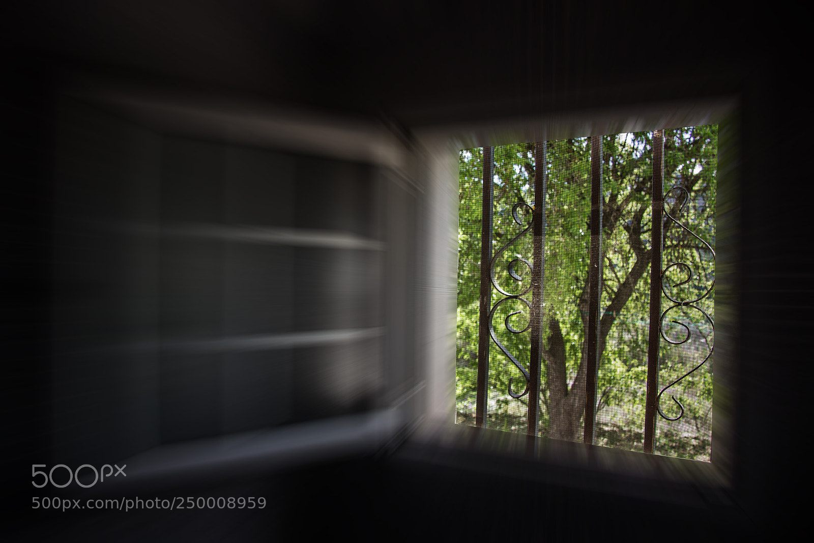 Canon EOS 60D sample photo. Ventana a la primavera photography