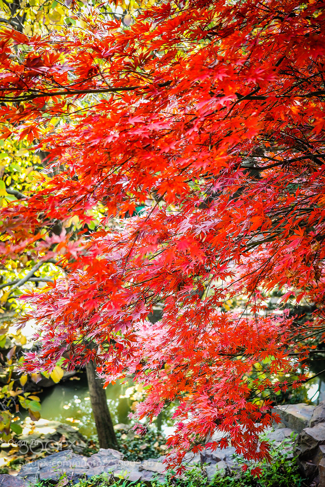 Olympus OM-D E-M1 sample photo. Untitled photography