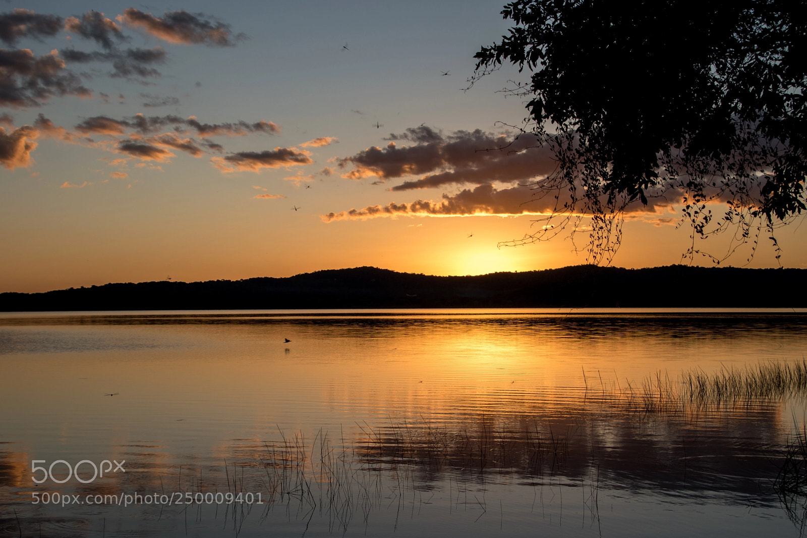 Nikon D5500 sample photo. Laguna de yaxhá 3 photography