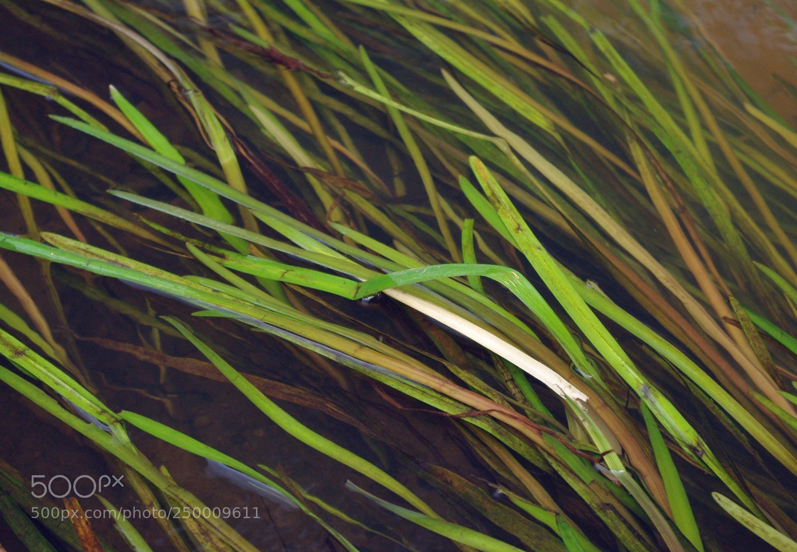 Pentax K200D sample photo. Untitled photography