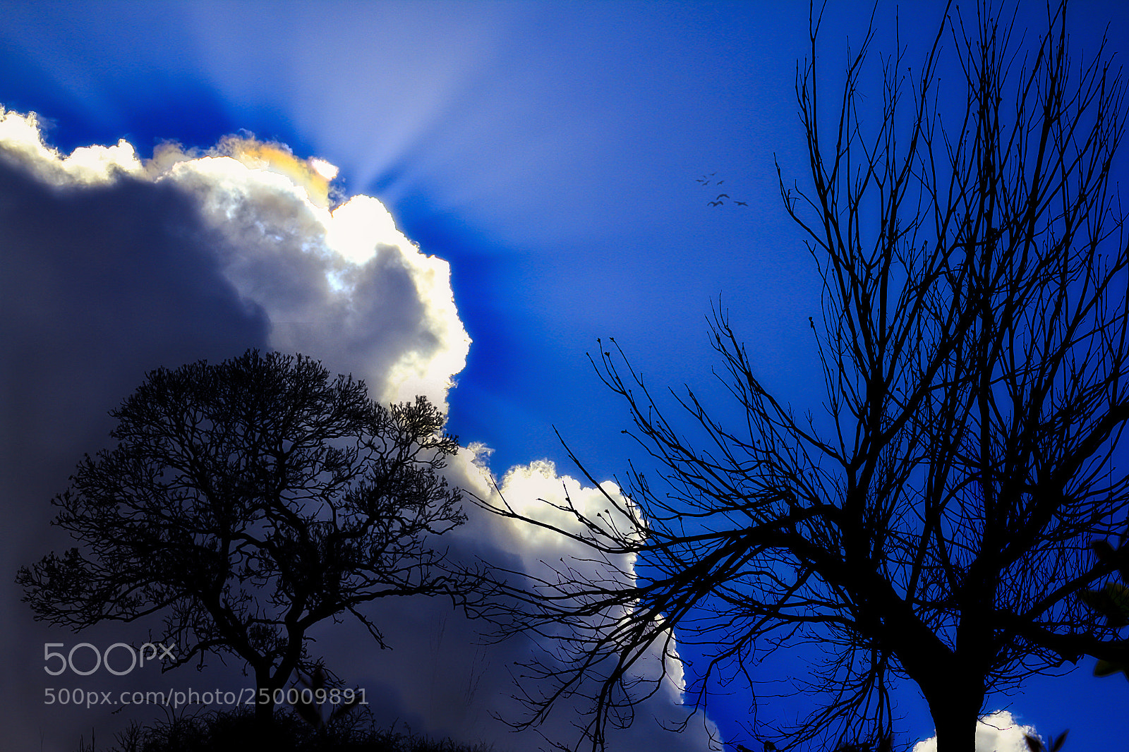 Canon EOS 550D (EOS Rebel T2i / EOS Kiss X4) sample photo. Nubes photography