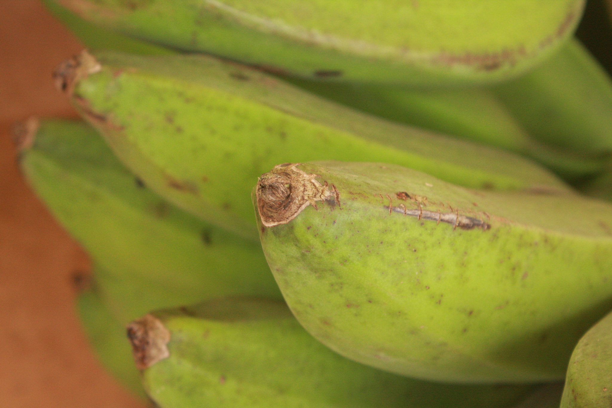 Canon EOS 40D sample photo. Bananas photography