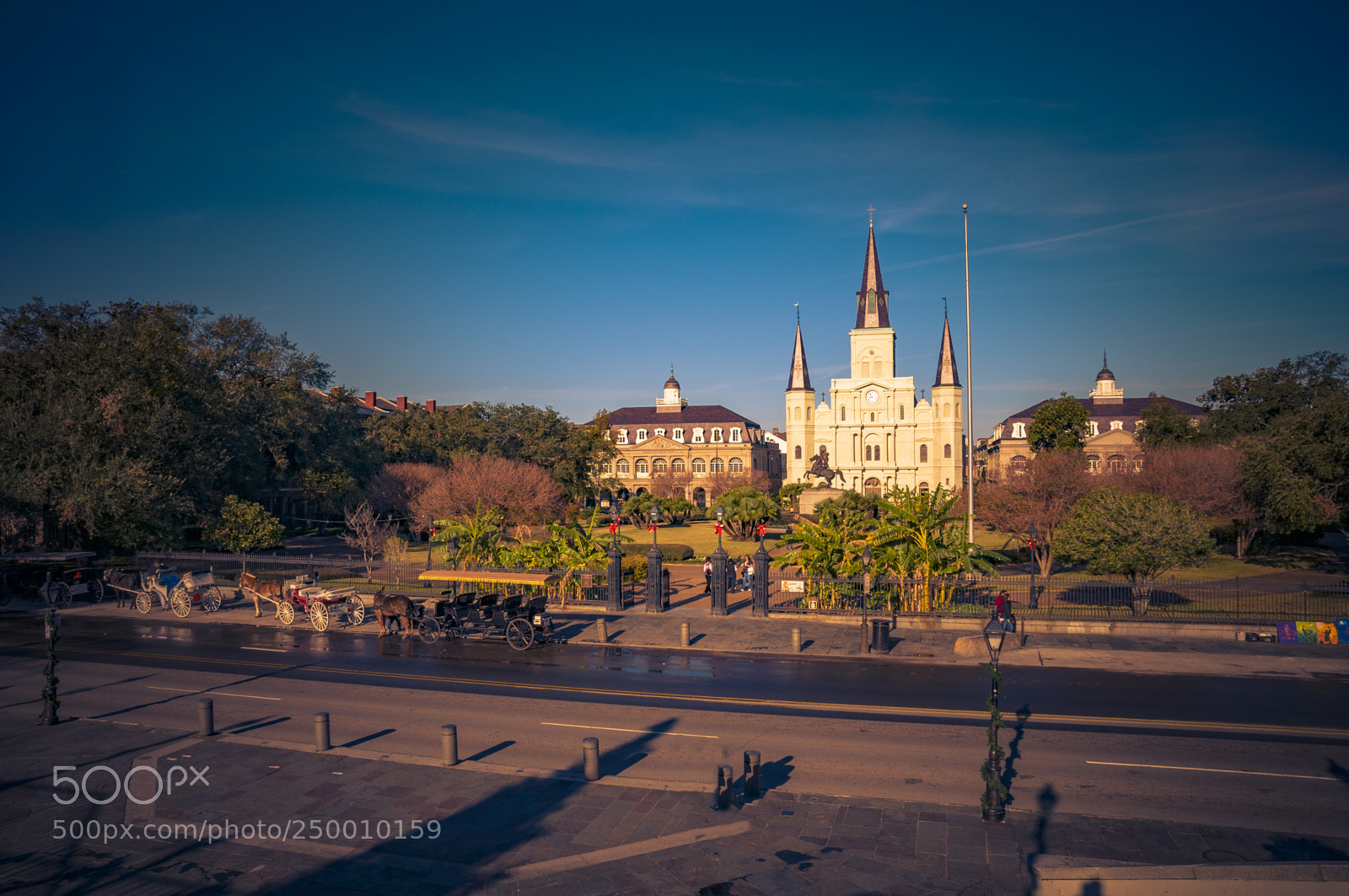 Nikon D300 sample photo. Jackson square photography
