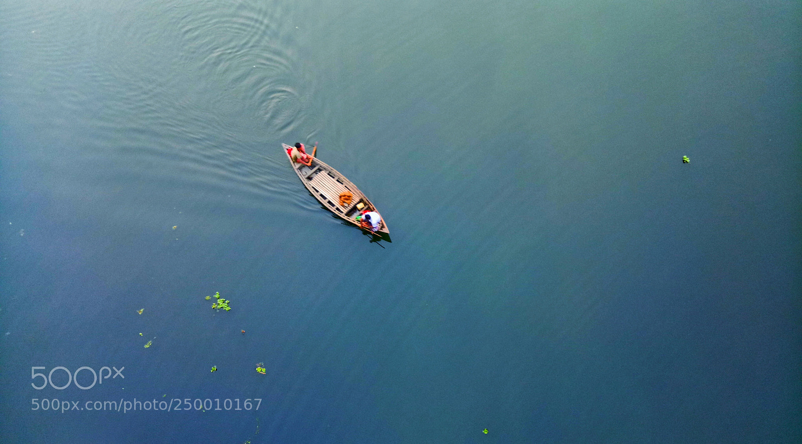 OPPO A1601 sample photo. Nature photography