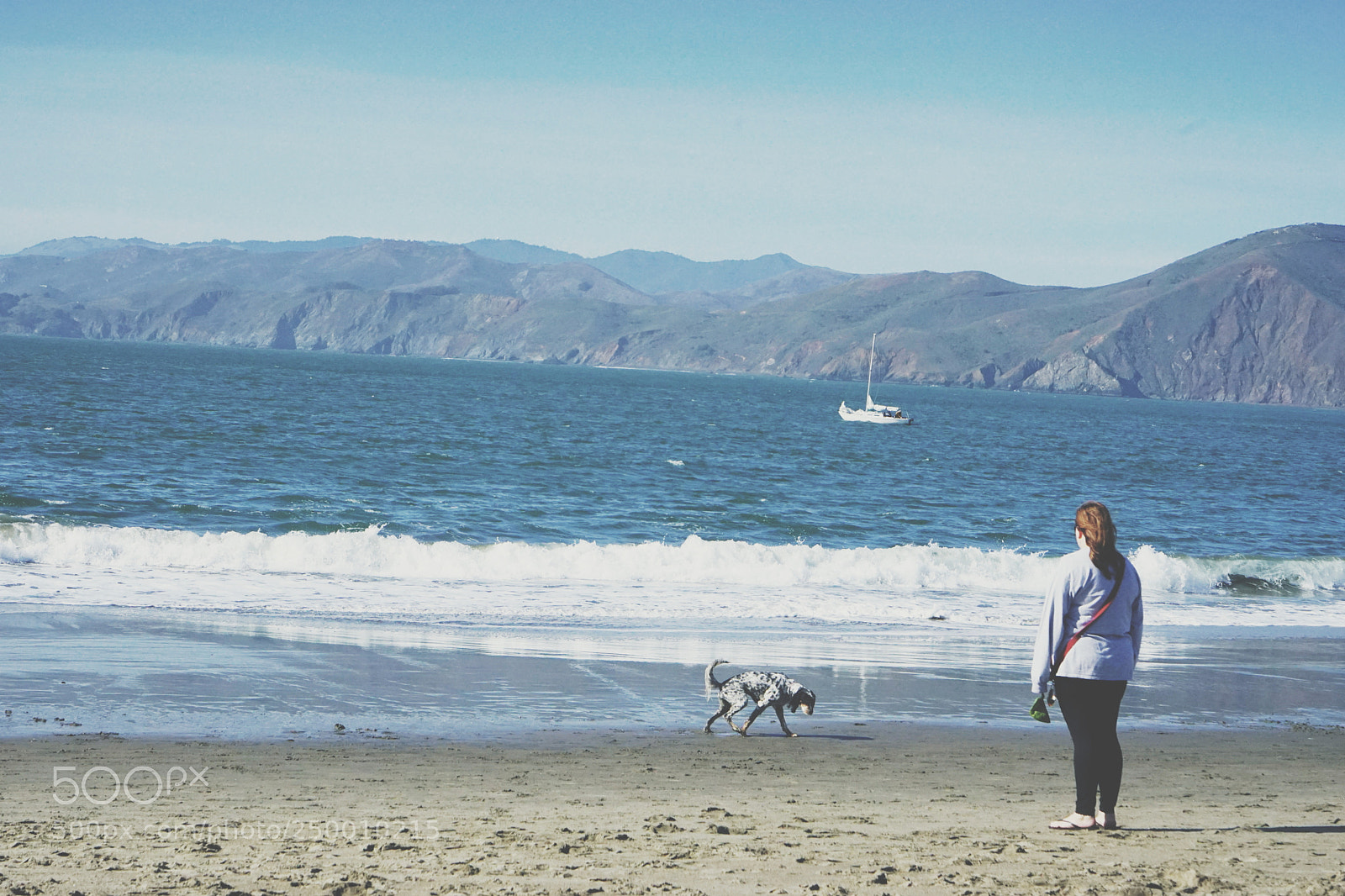 Sony a7 II sample photo. 生. san francisco photography