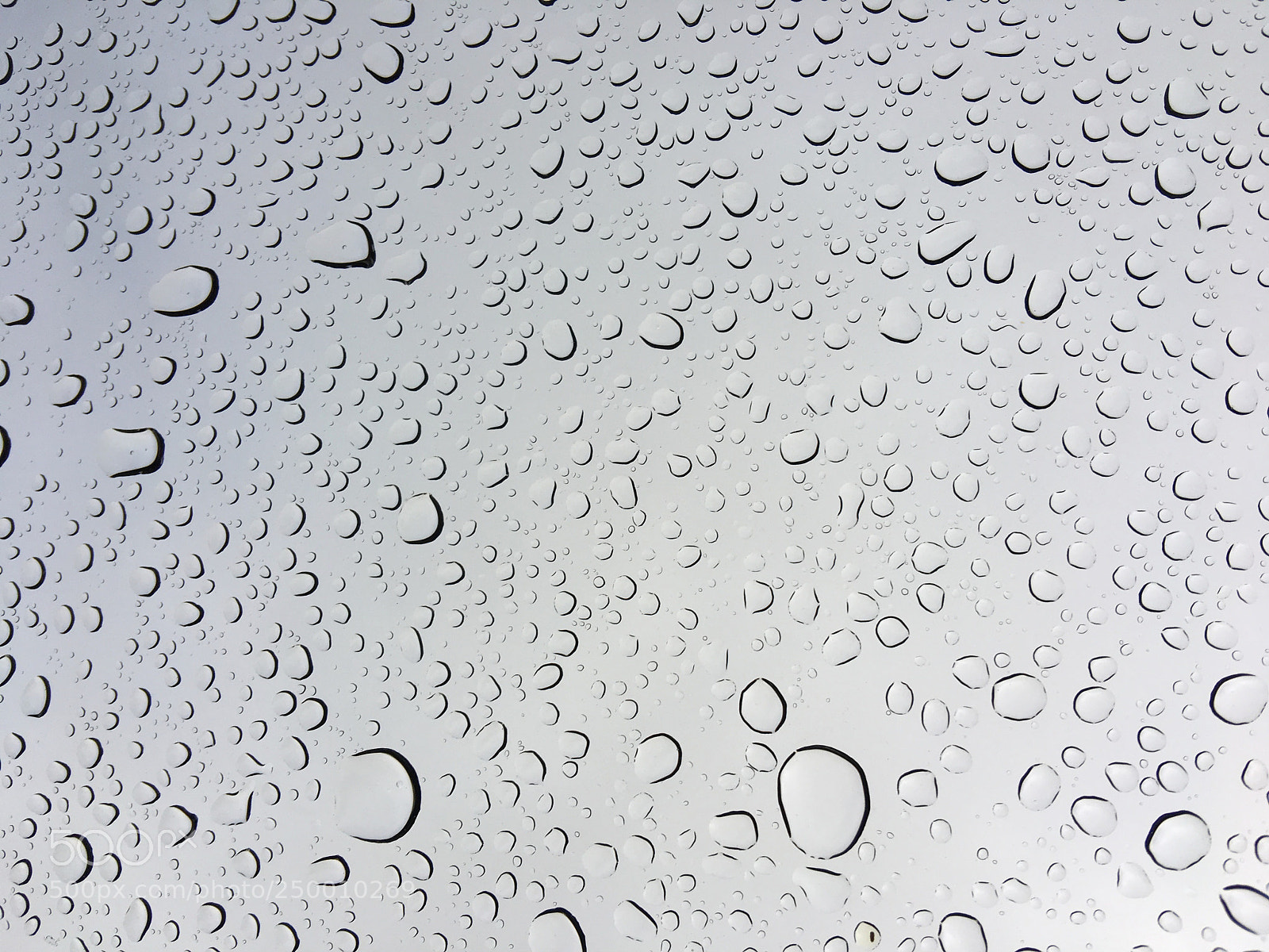 Apple iPhone 6s Plus sample photo. Through the sunroof photography