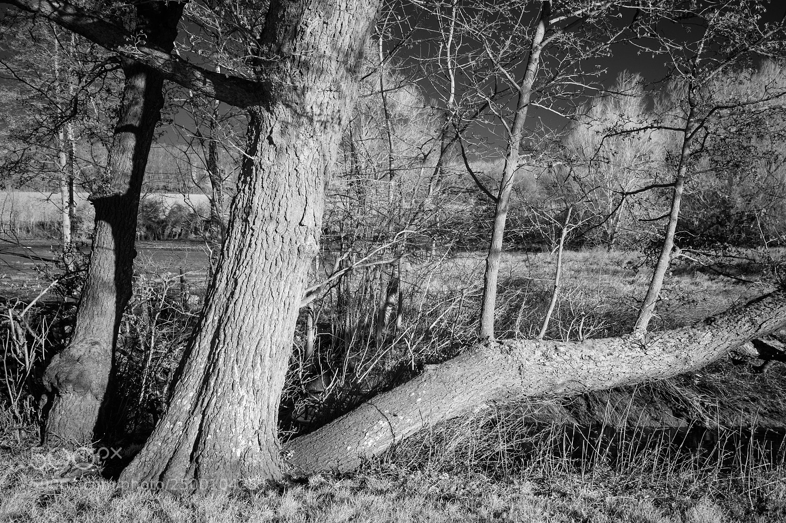 Nikon D700 sample photo. River brett alders #1 photography
