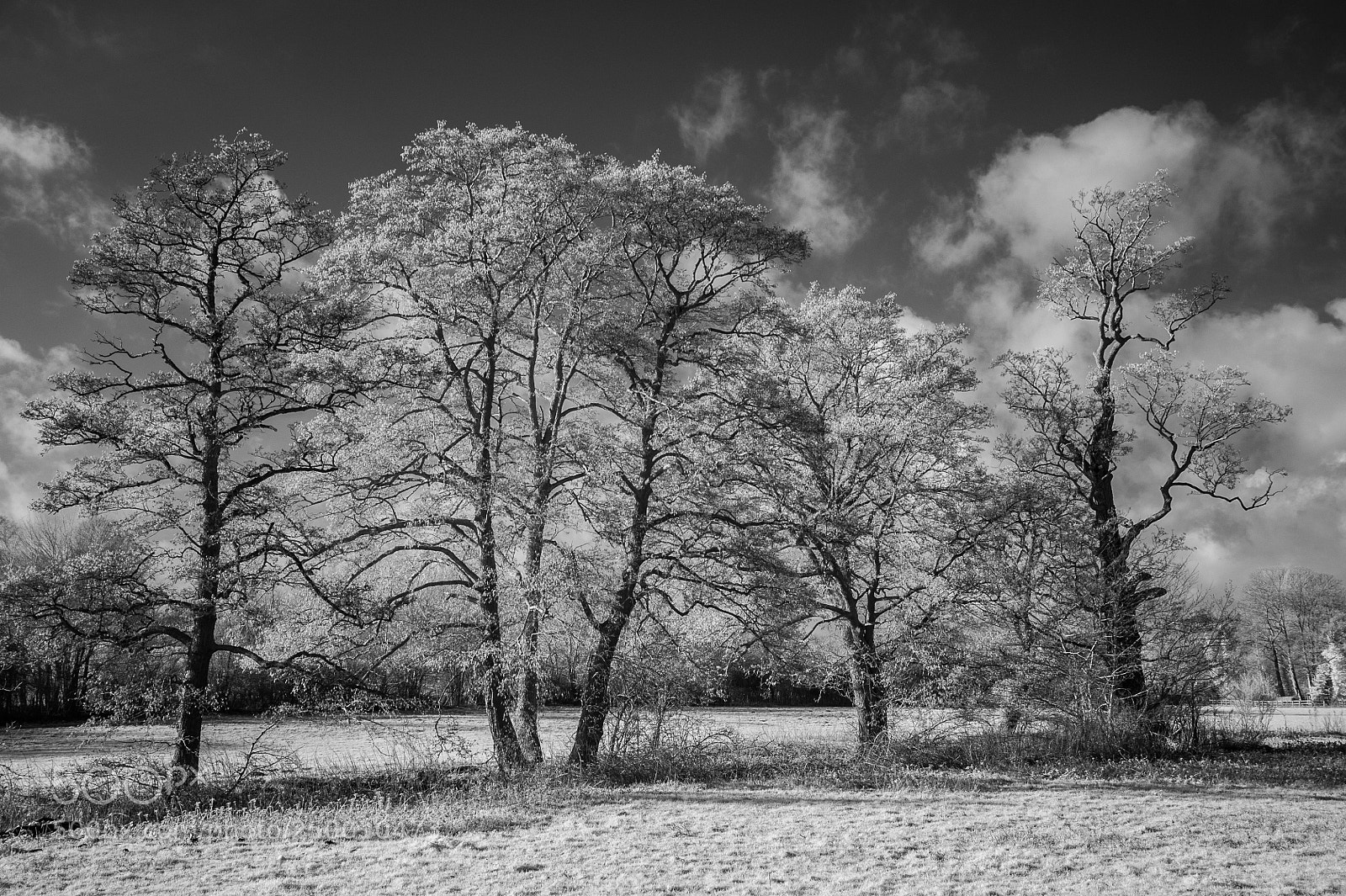 Nikon D700 sample photo. River brett alders #3 photography