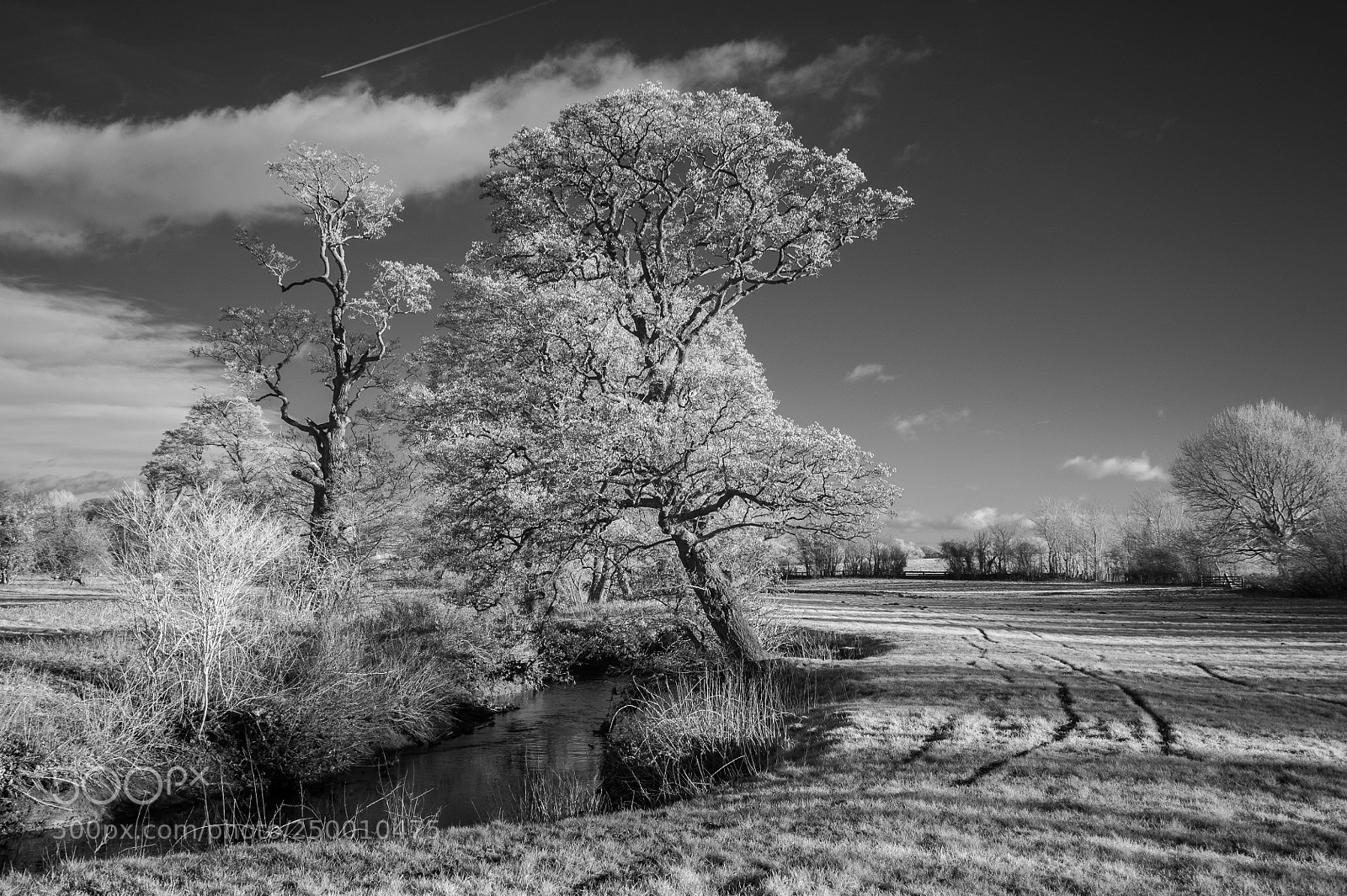 Nikon D700 sample photo. River brett alders #4 photography