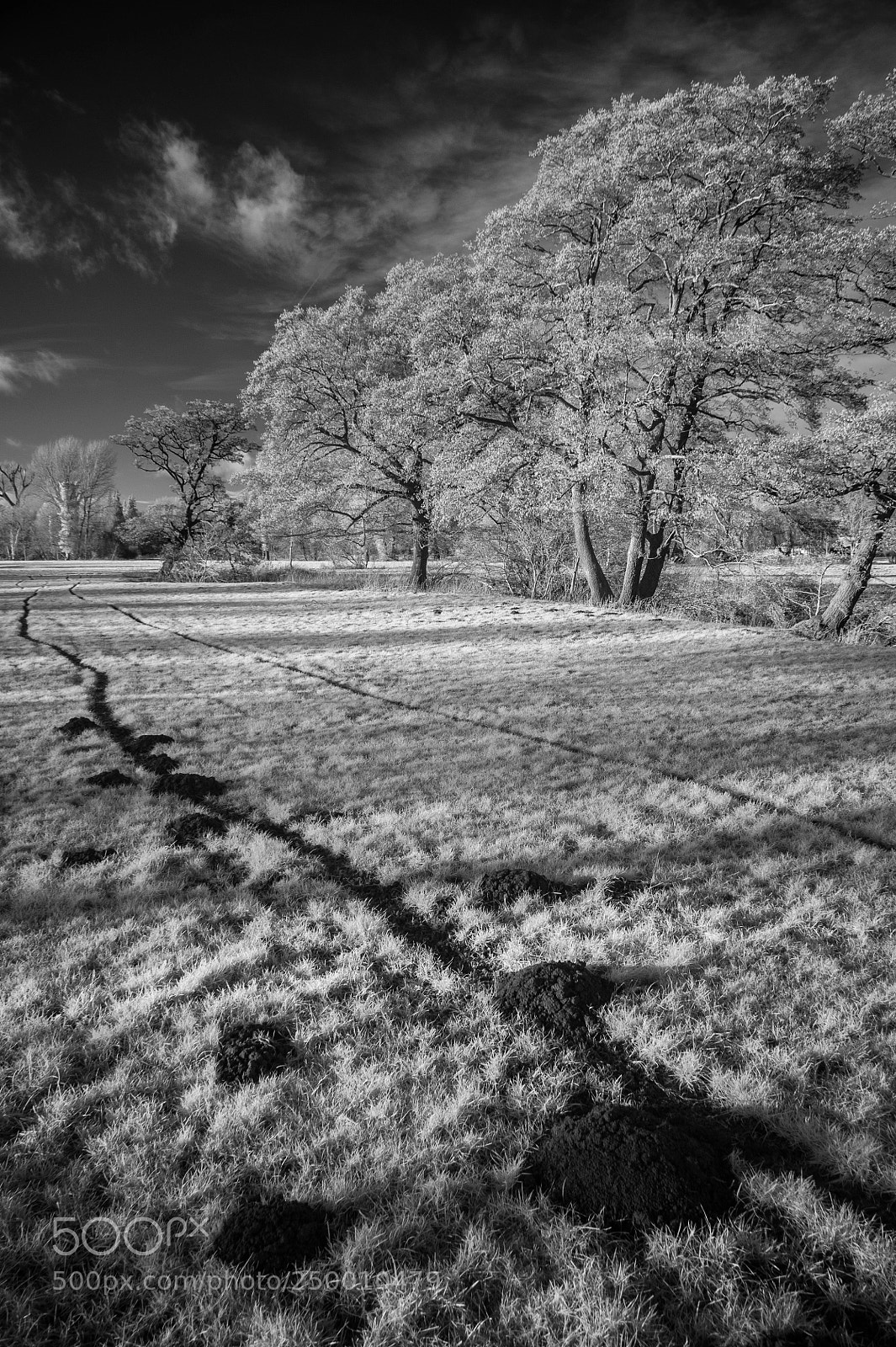 Nikon D700 sample photo. River brett alders #5 photography