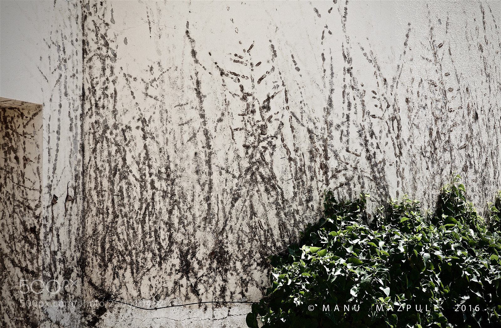 Canon EOS 70D sample photo. 251. girona. catalunya..... photography