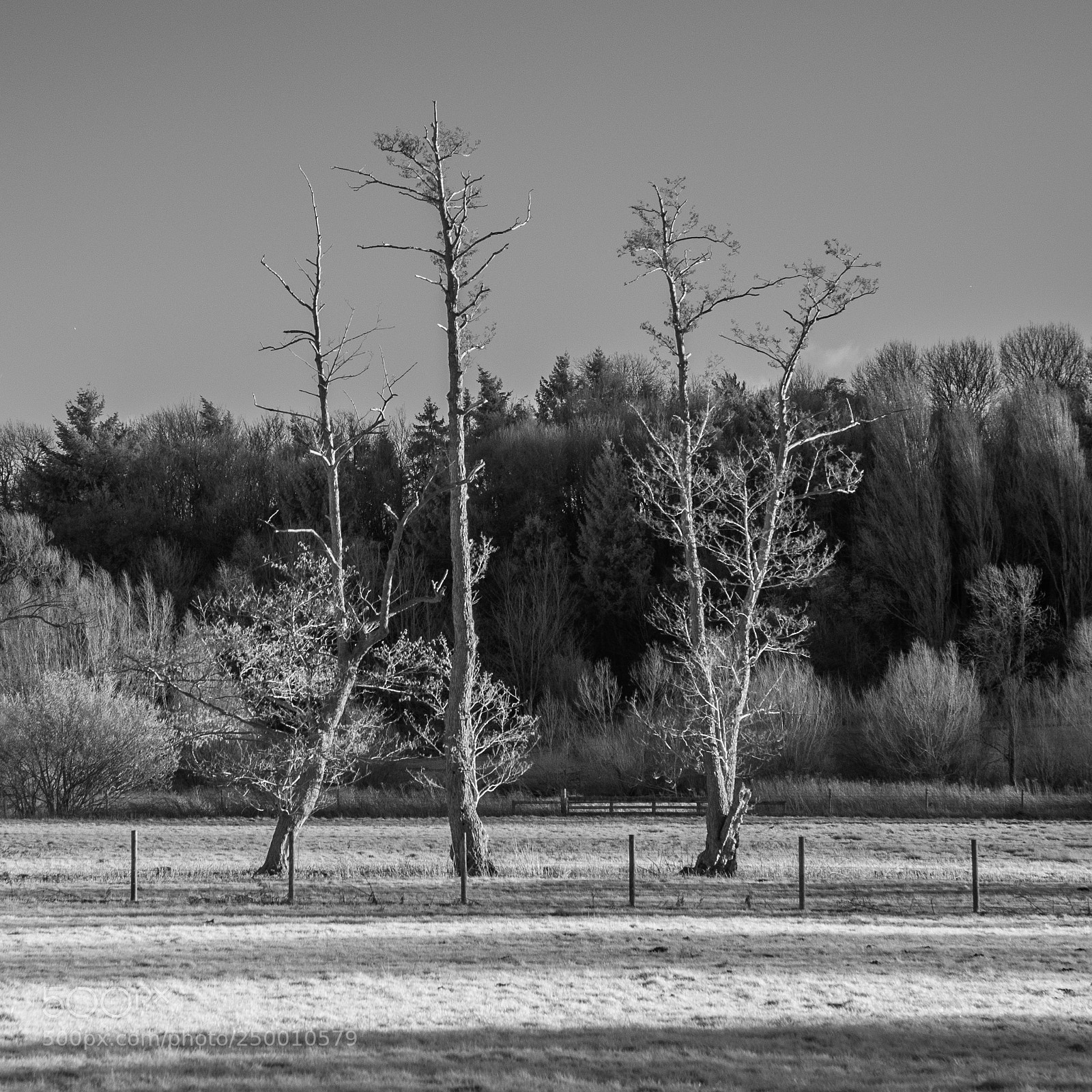 Nikon D700 sample photo. River brett alders #6 photography