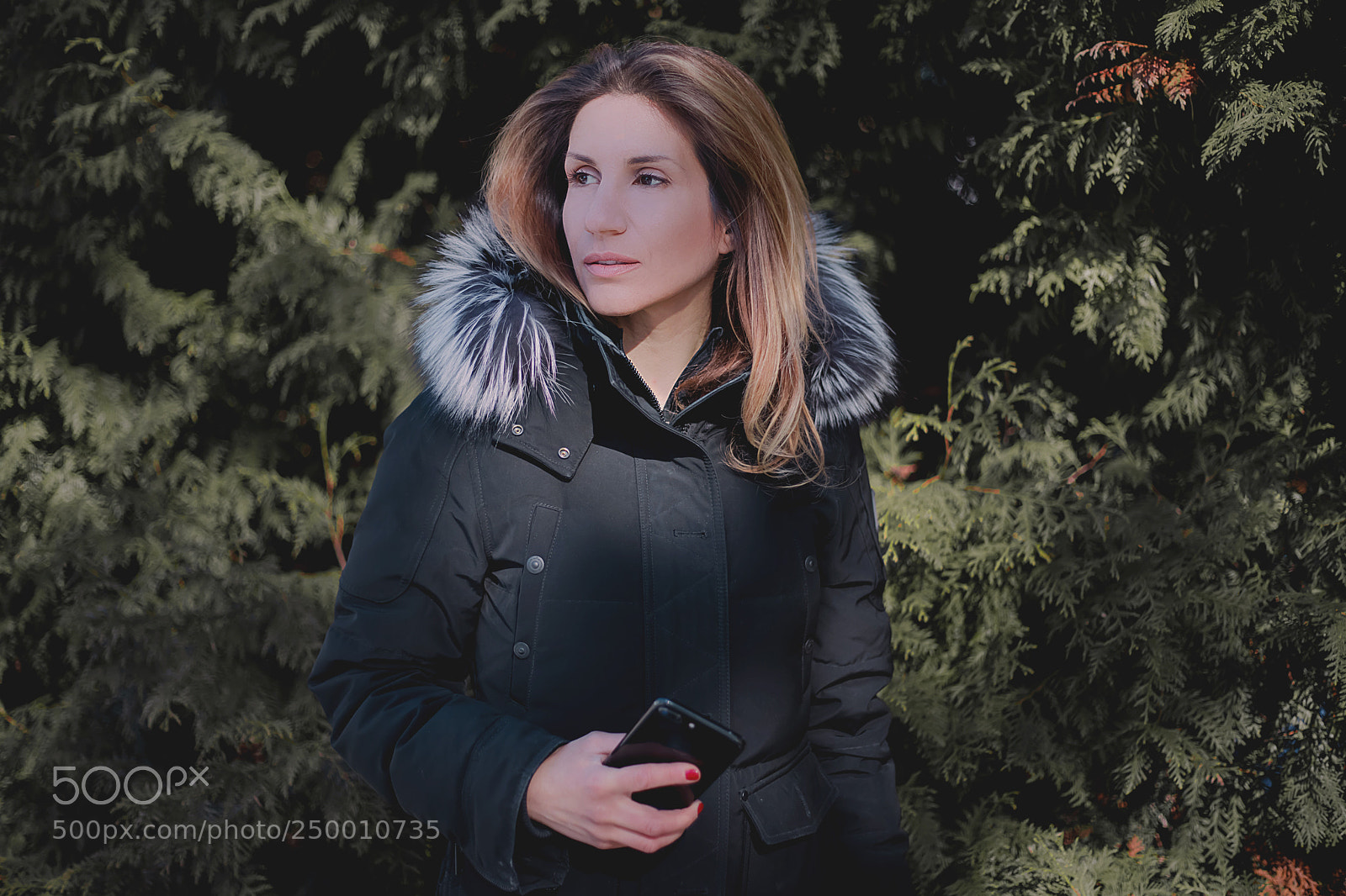 Canon EOS 5DS sample photo. Forest photography