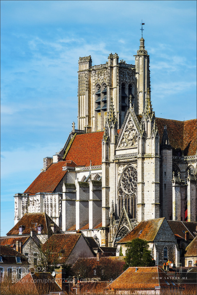 Sony a99 II sample photo. Cathedral saint-etienne springday view photography