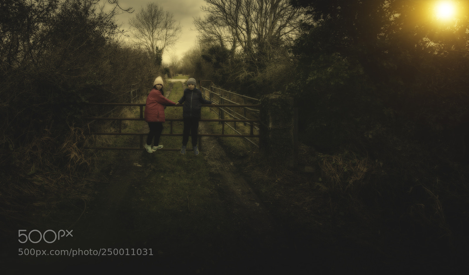 Nikon D810 sample photo. Twins on gate 2 photography