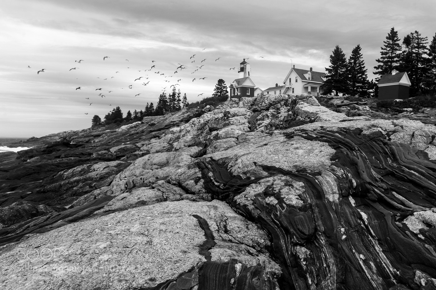Nikon D4 sample photo. Pemaquid light house photography
