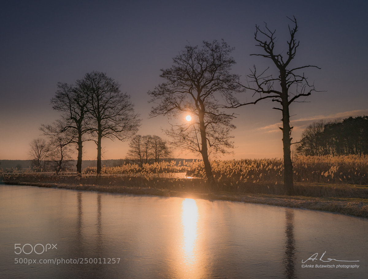 Sony a7R II sample photo. Cold reflection photography