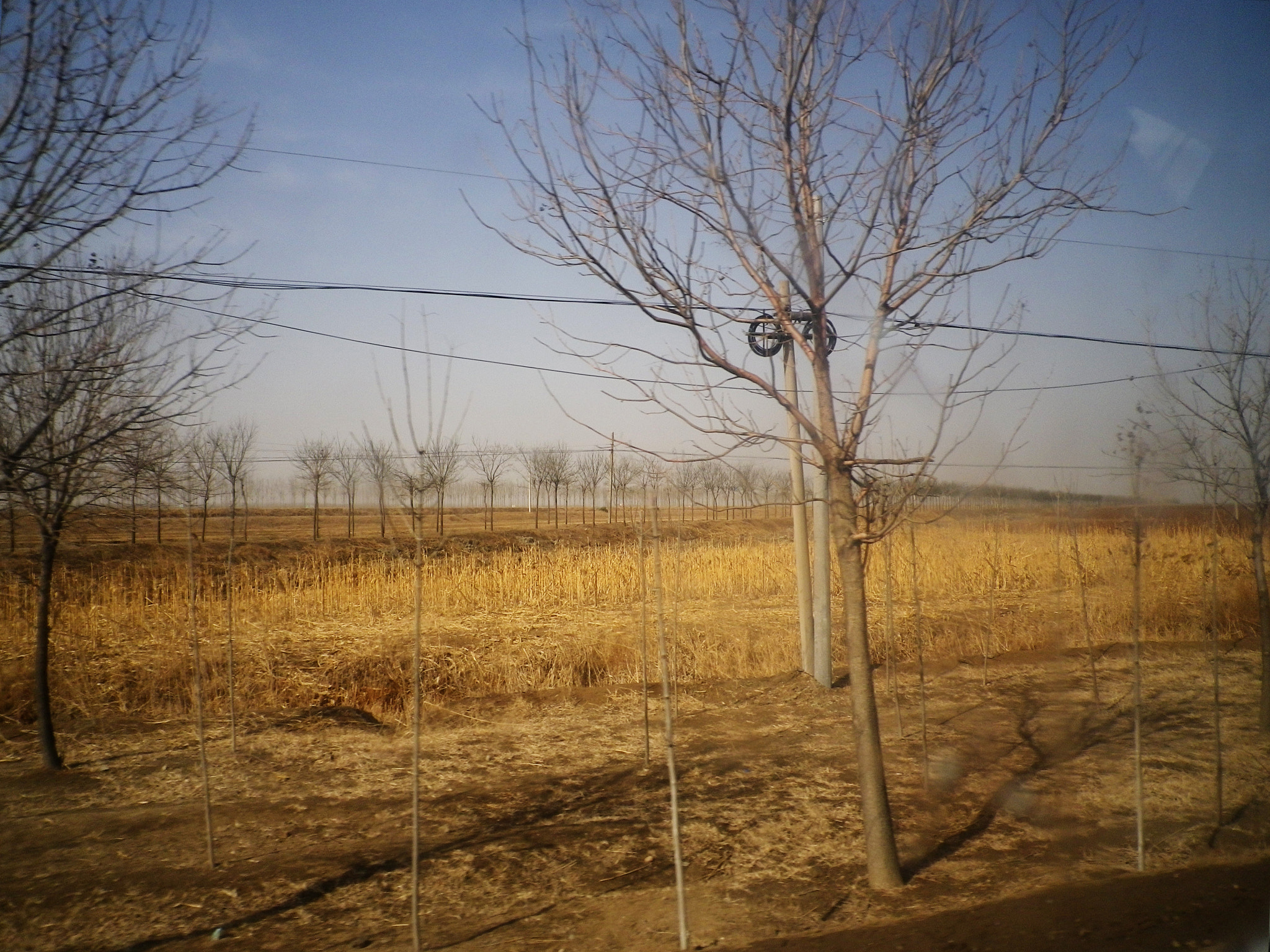 Pentax Optio H90 sample photo. 野地里的电线杆 photography