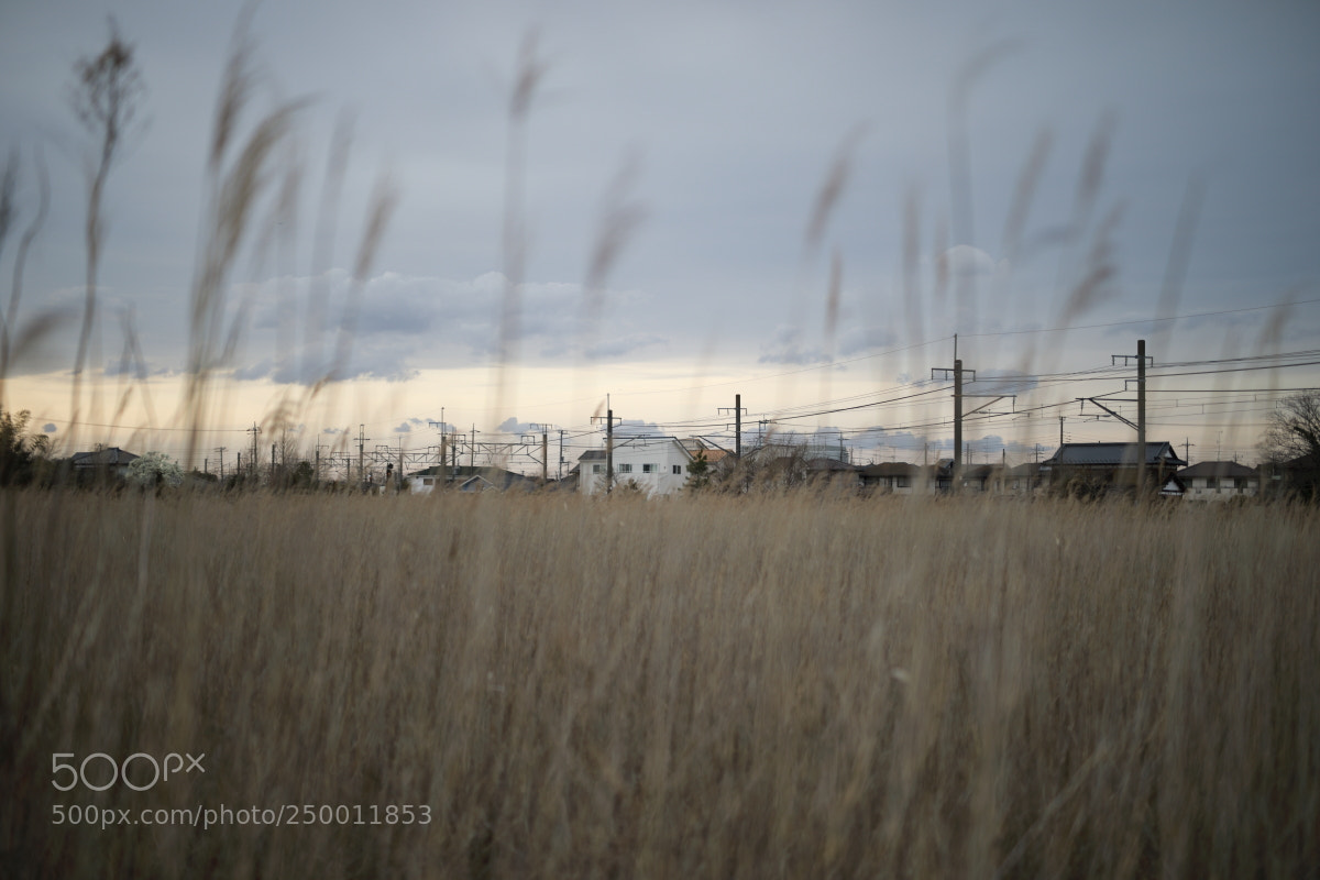 Canon EOS 5D Mark IV sample photo. Pa photography