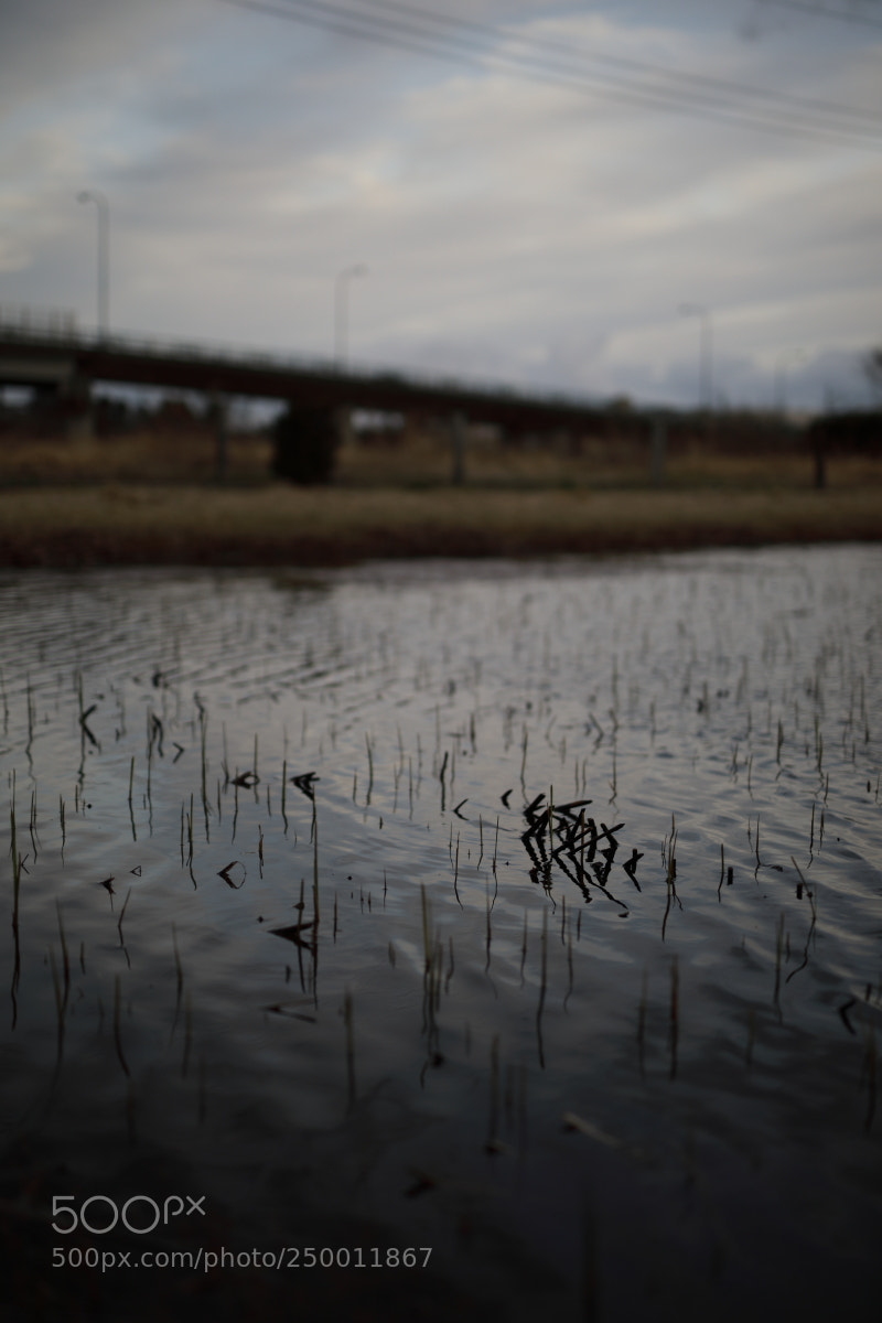 Canon EOS 5D Mark IV sample photo. Pa photography