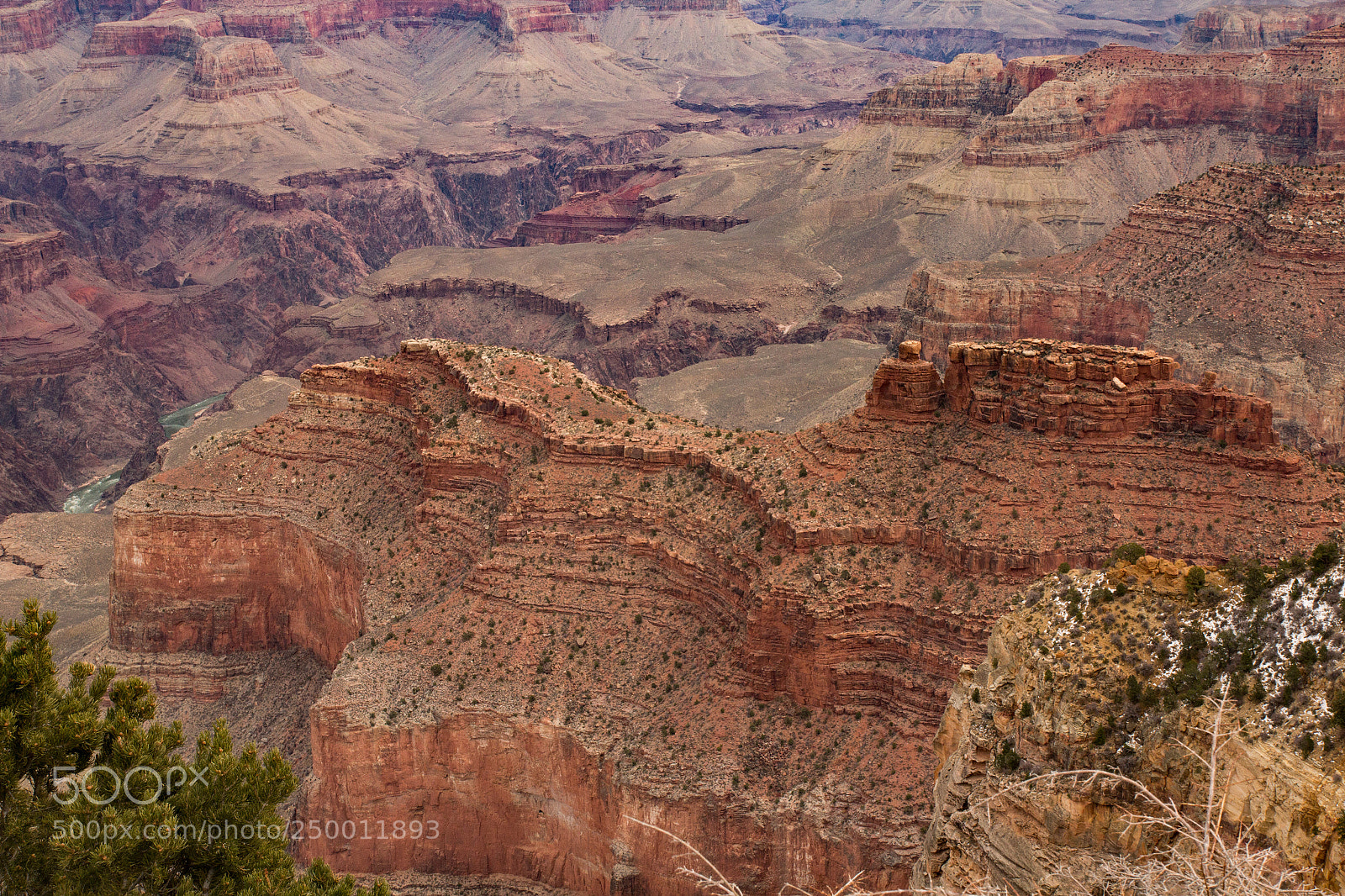 Canon EOS 60D sample photo. Grand canyon photography