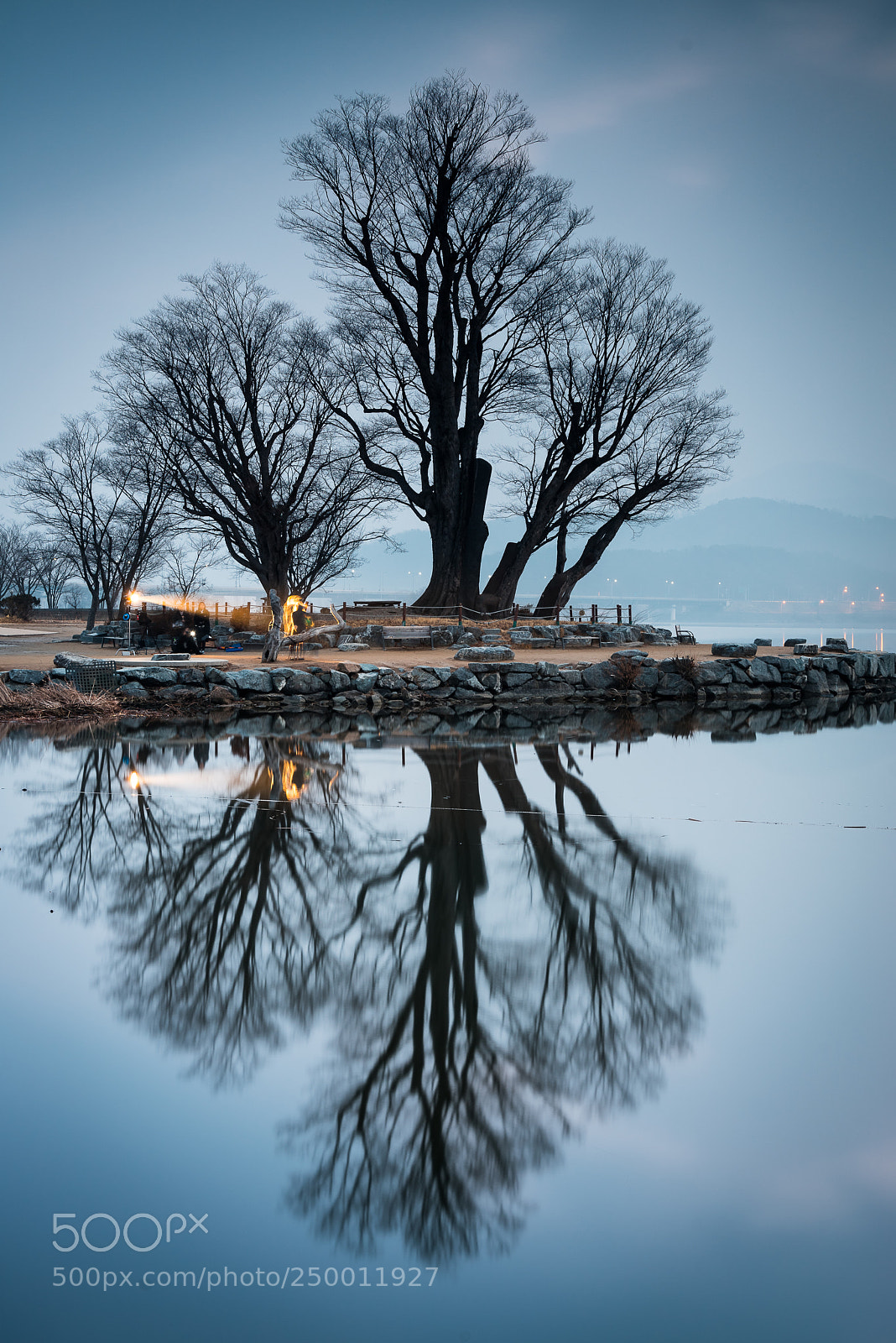 Sony a7R sample photo. Untitled photography
