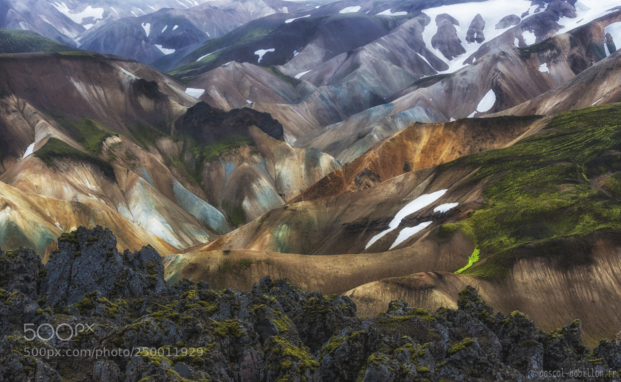 Nikon D800 sample photo. Landmannalaugar photography
