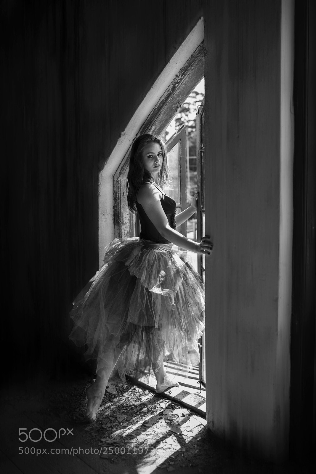 Nikon D800 sample photo. Shadows and lights 3 photography