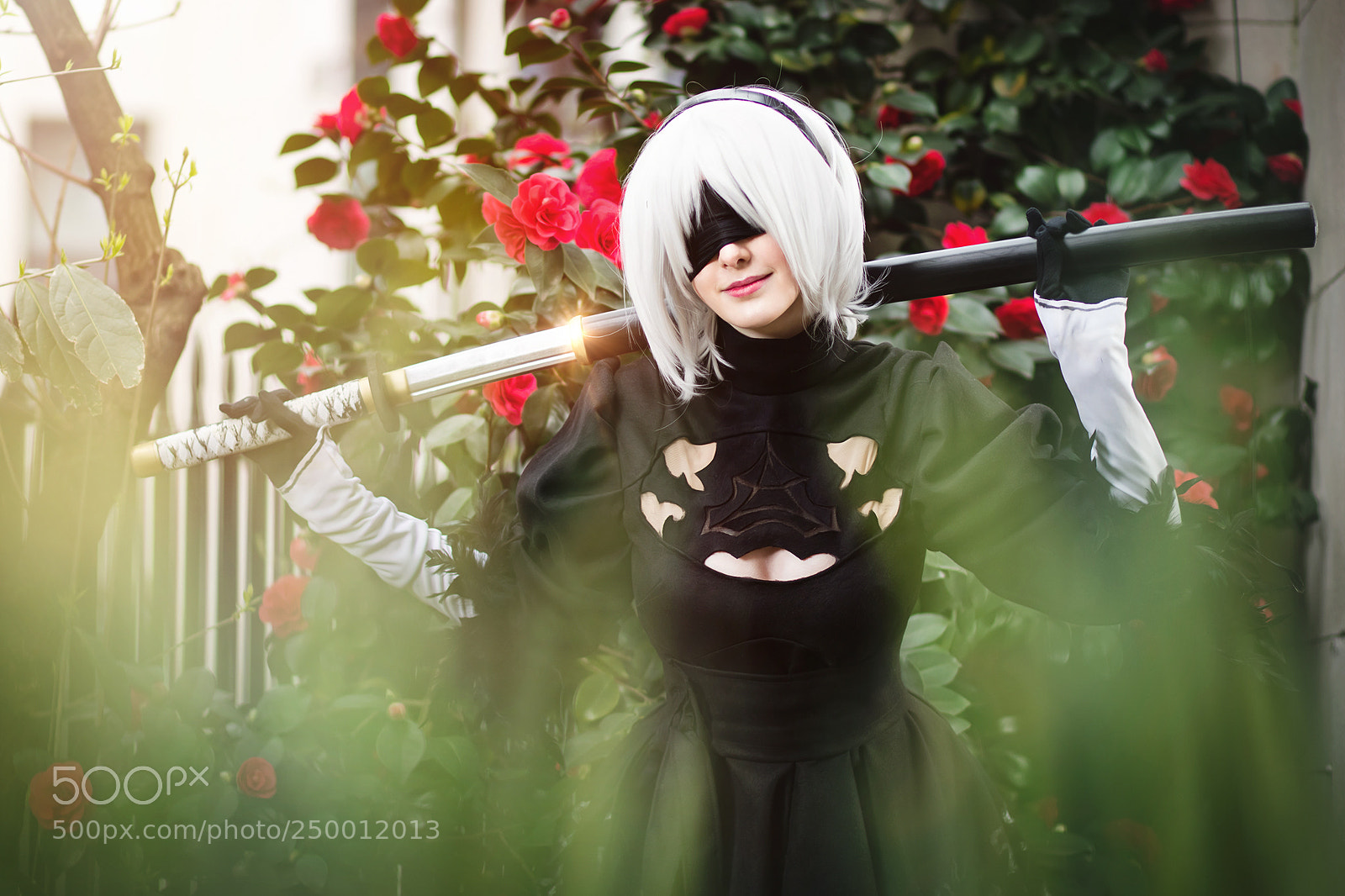 Canon EOS 5DS sample photo. Through the leaves photography