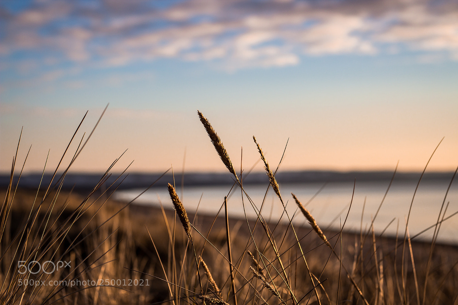 Canon EOS 600D (Rebel EOS T3i / EOS Kiss X5) sample photo. Fields of sweden photography