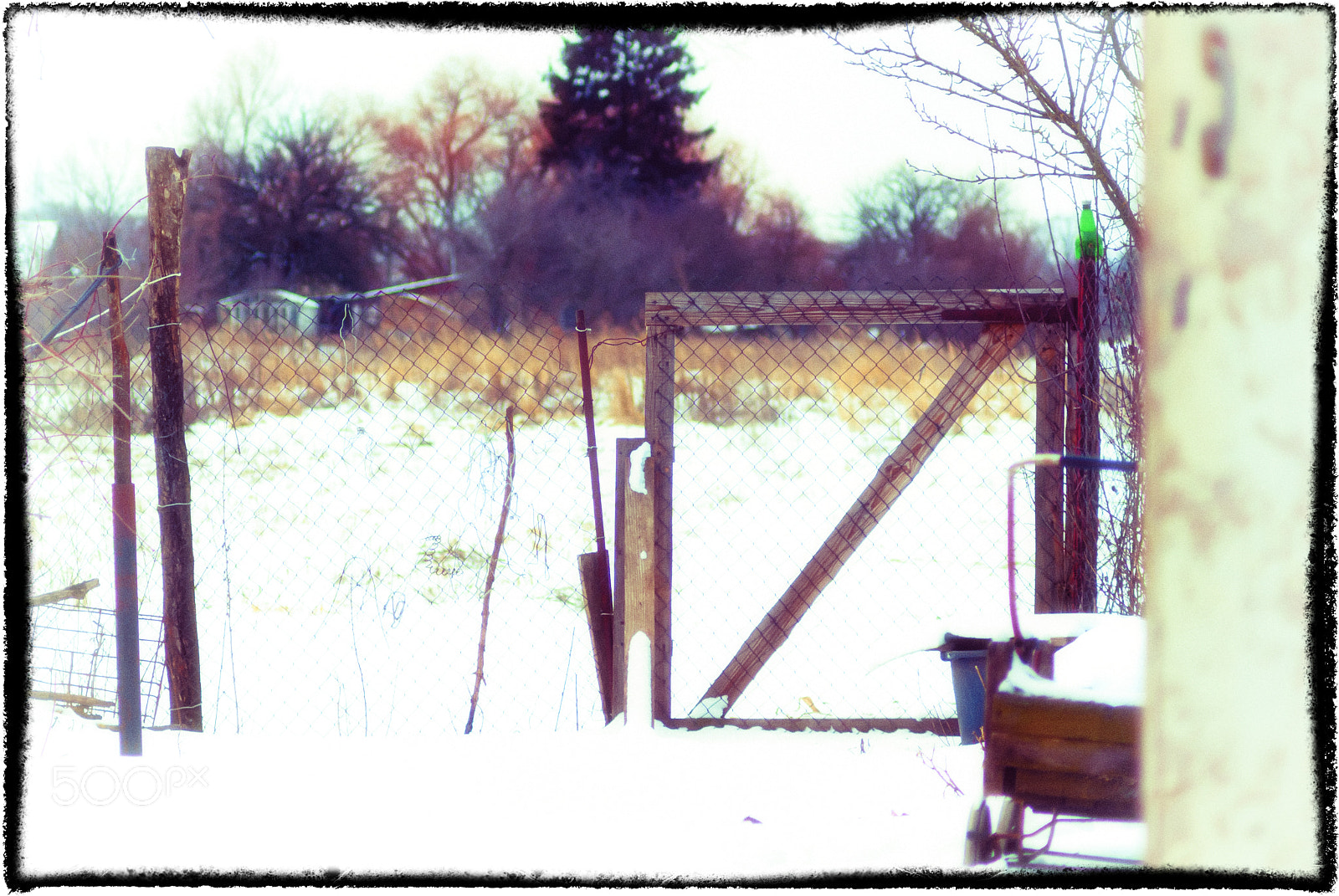 Sony Alpha DSLR-A230 sample photo. Sad winter days in photography