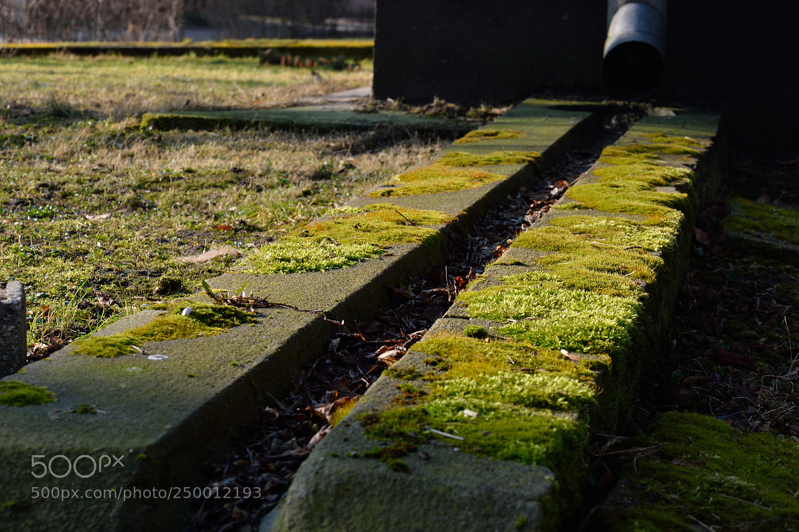Nikon D3300 sample photo. Morning light photography