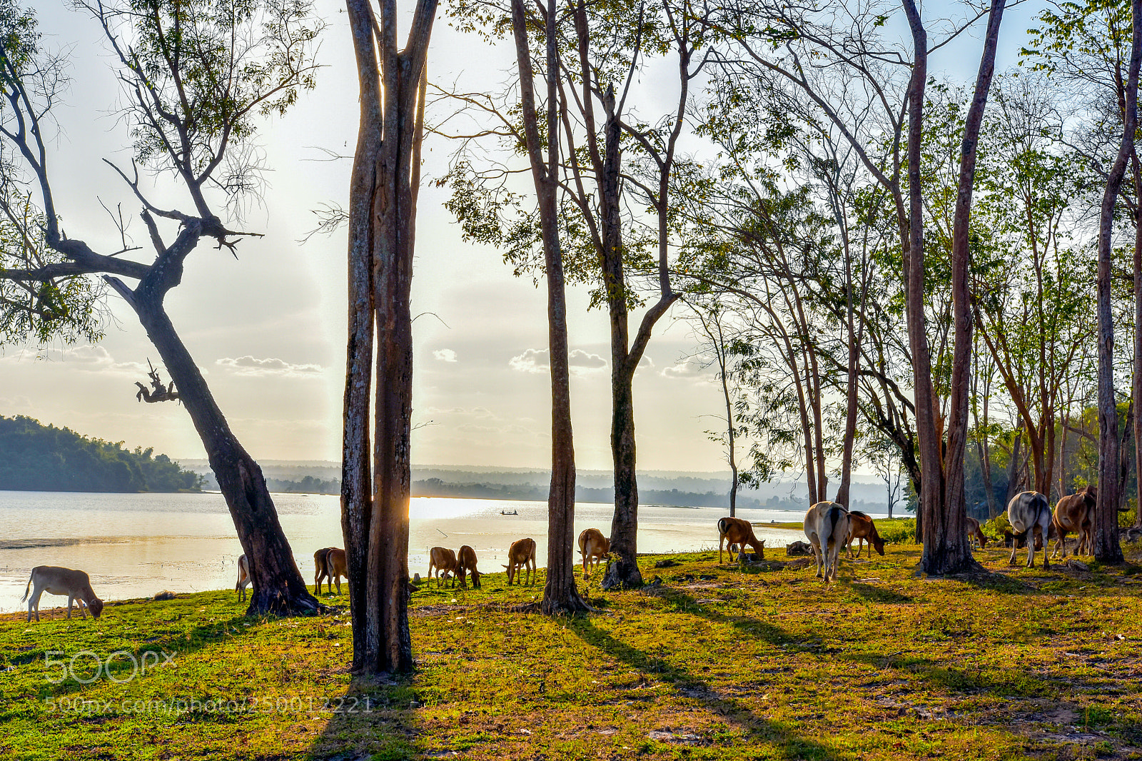 Nikon D7200 sample photo. The land photography