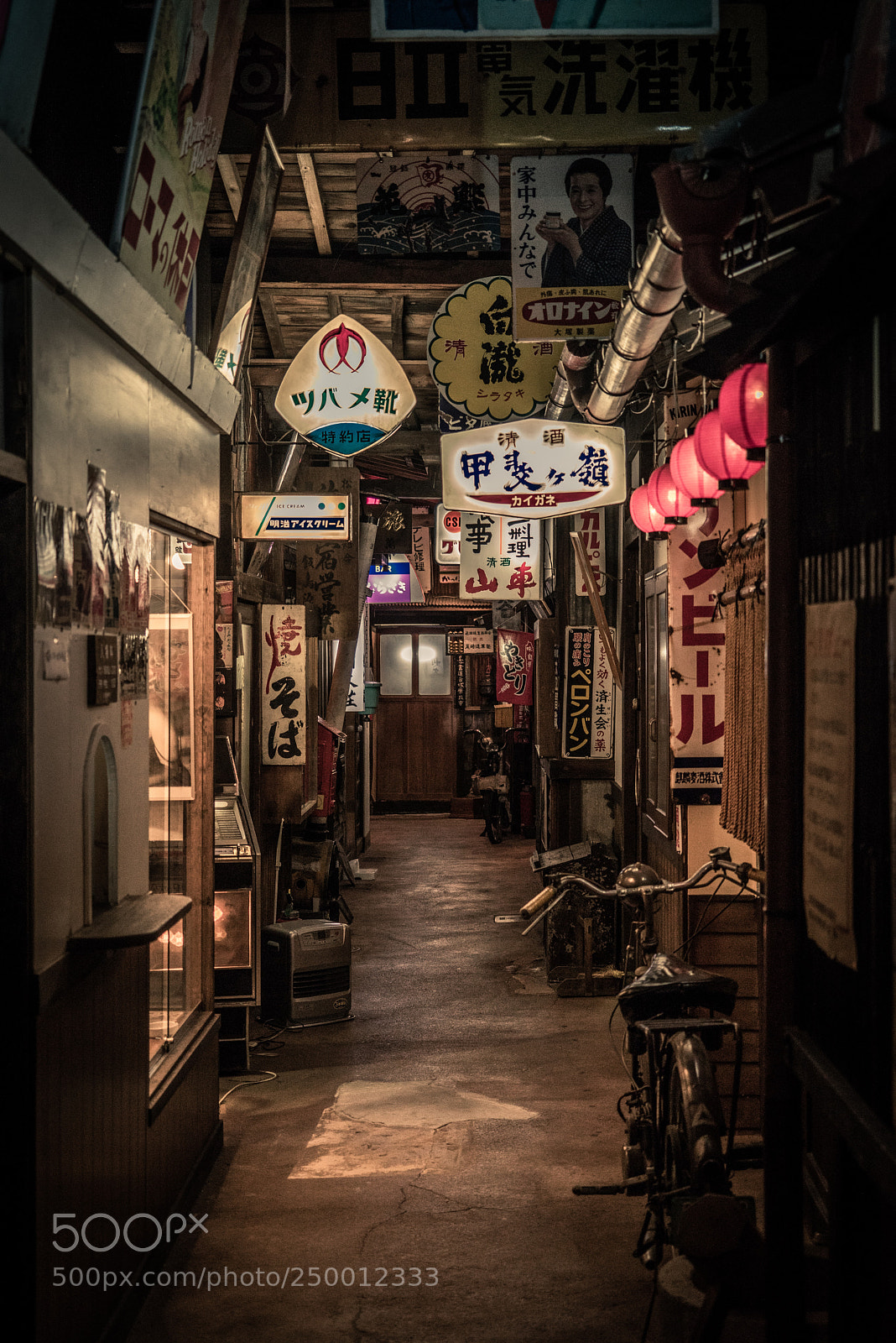 Sony a7R sample photo. Showa museum photography