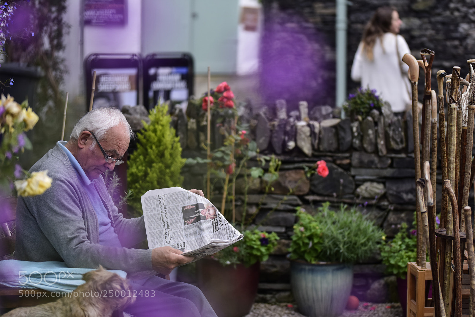Nikon D810 sample photo. Untitled photography