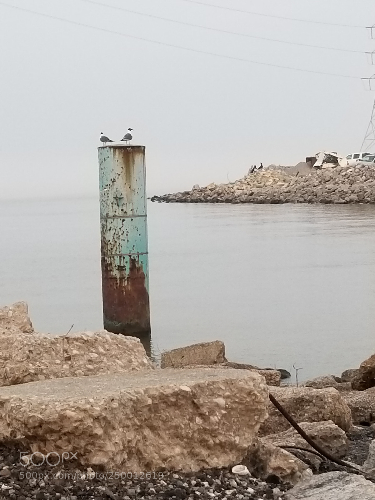 Samsung Galaxy S8+ sample photo. Untitled photography