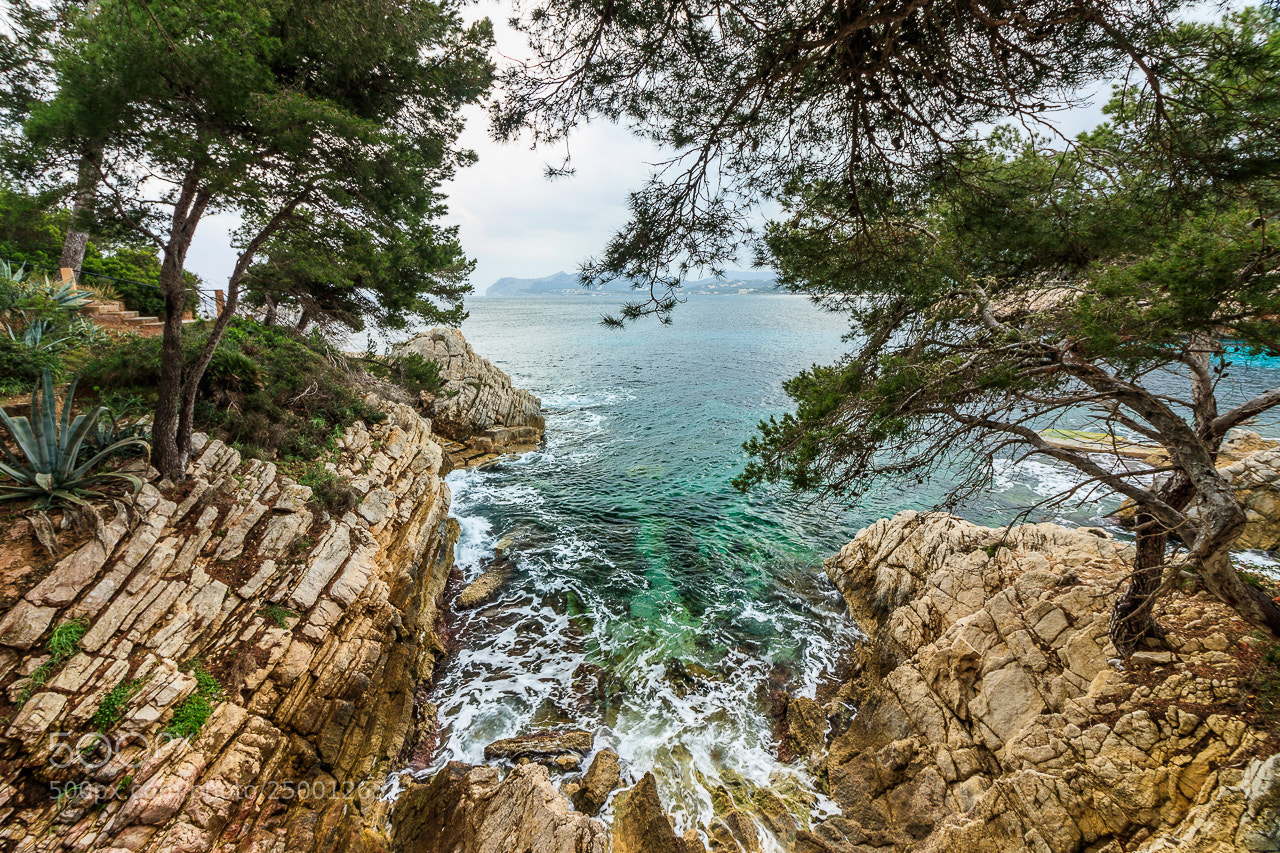Canon EOS 80D sample photo. Wild romantic coastline photography