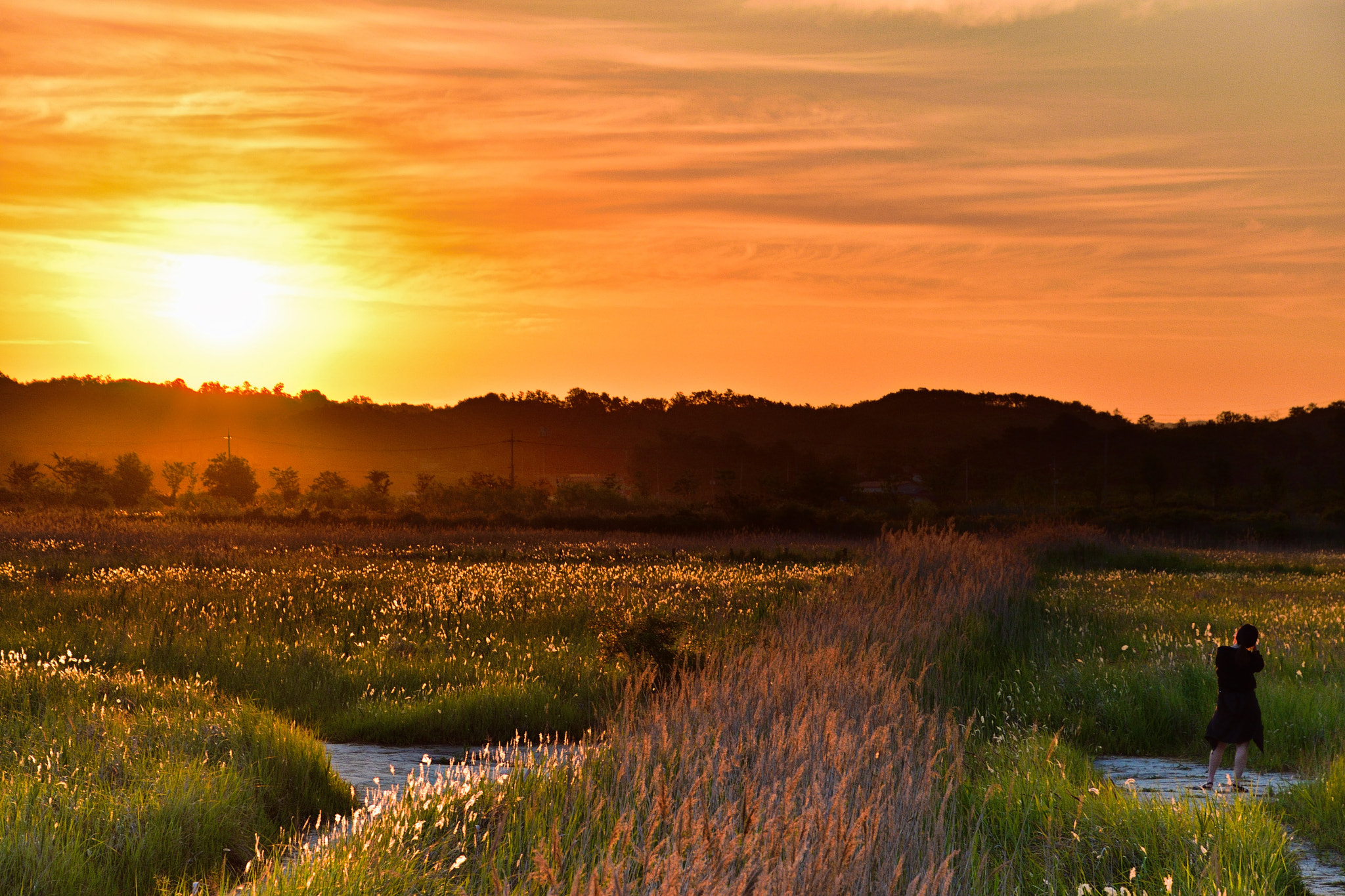 Nikon D5500 sample photo. Sunrise photography