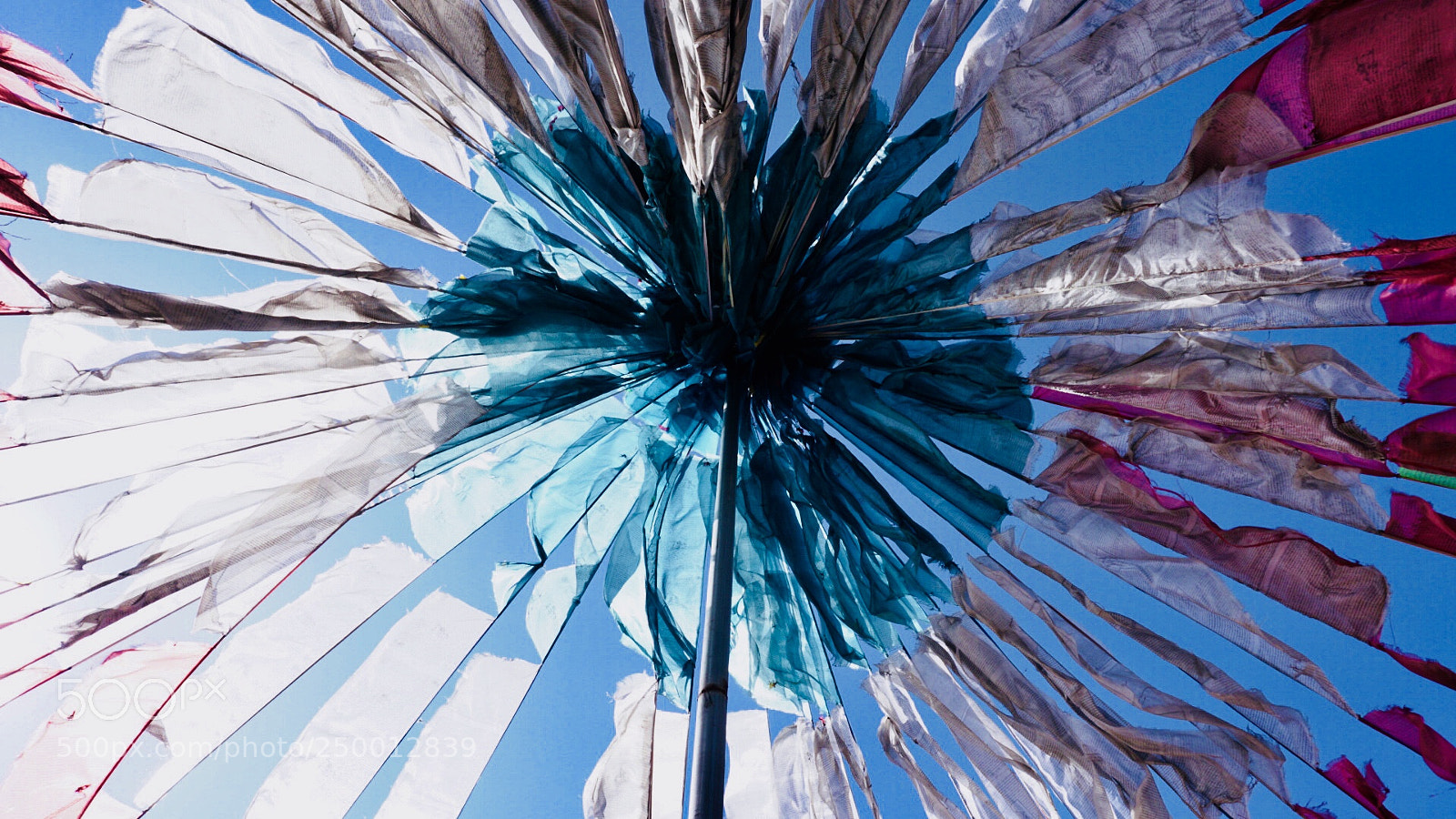 Sony a6300 sample photo. Untitled photography