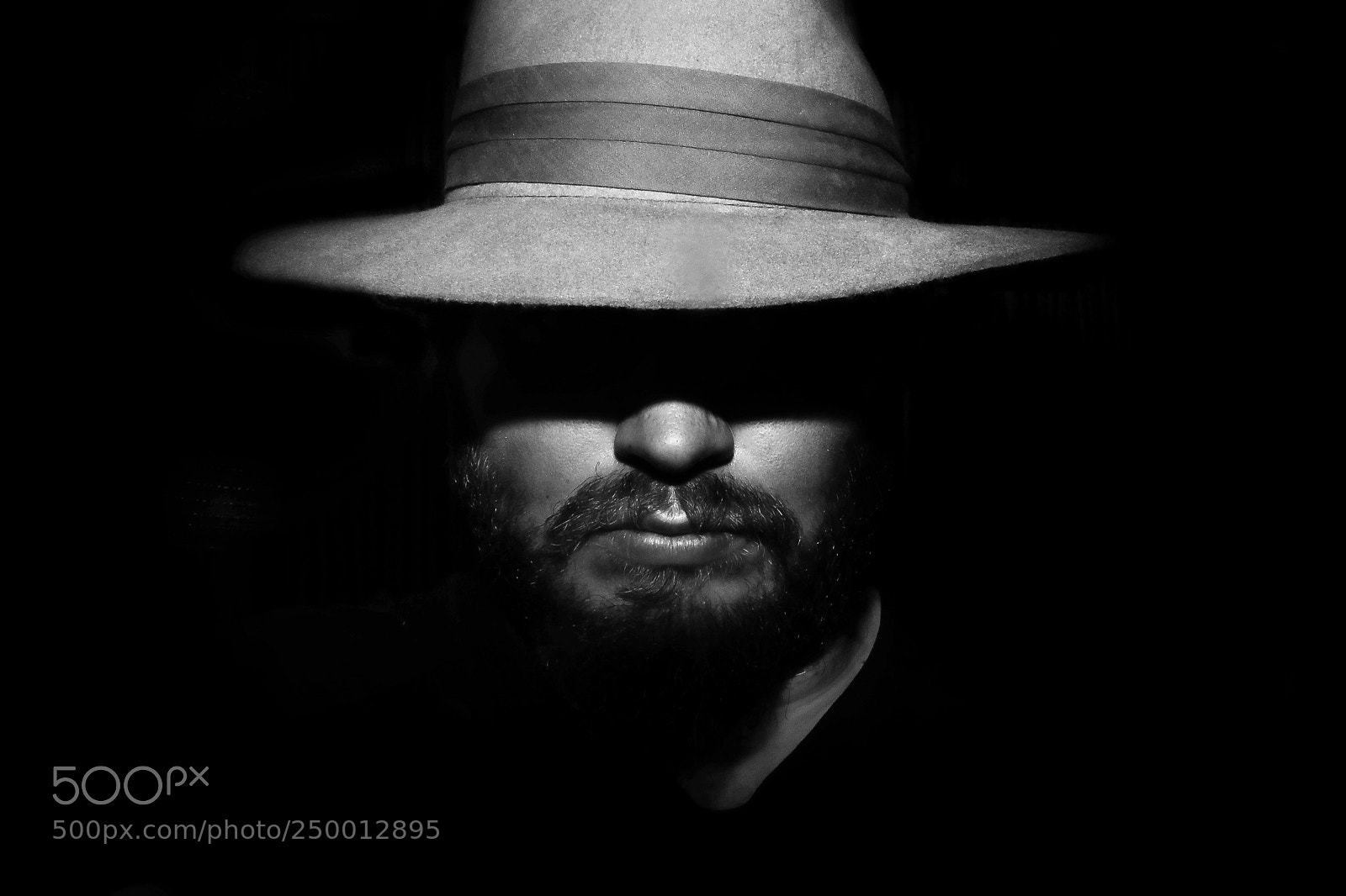 Canon EOS 80D sample photo. Untitled photography
