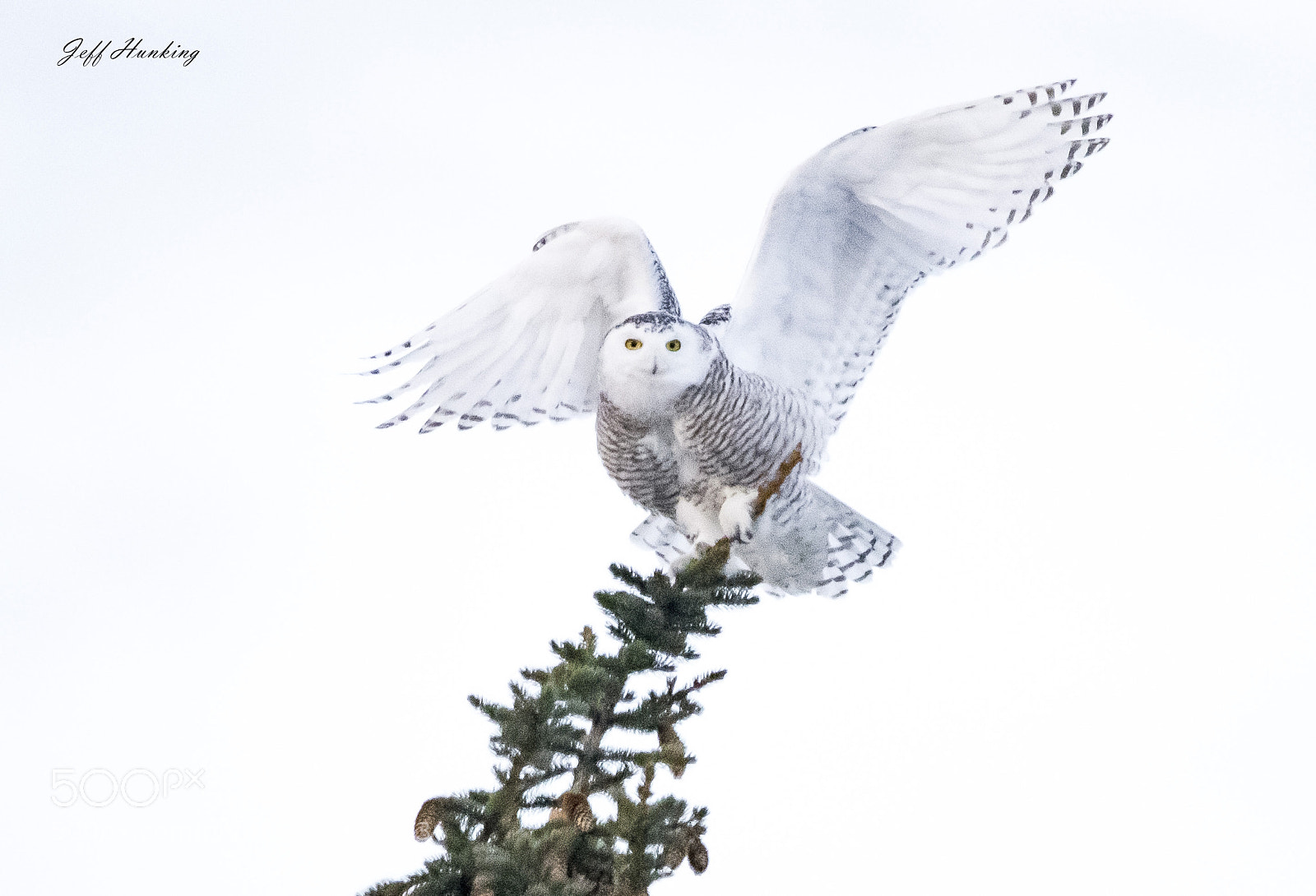 Canon EOS 7D Mark II sample photo. A balancing act. photography