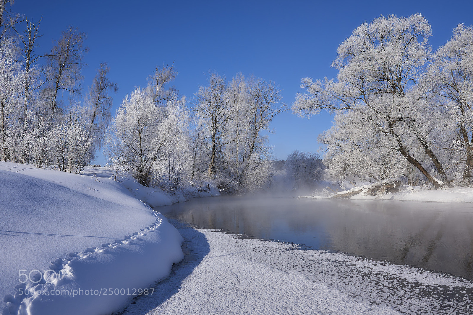 Nikon D810 sample photo. Frost and sun photography