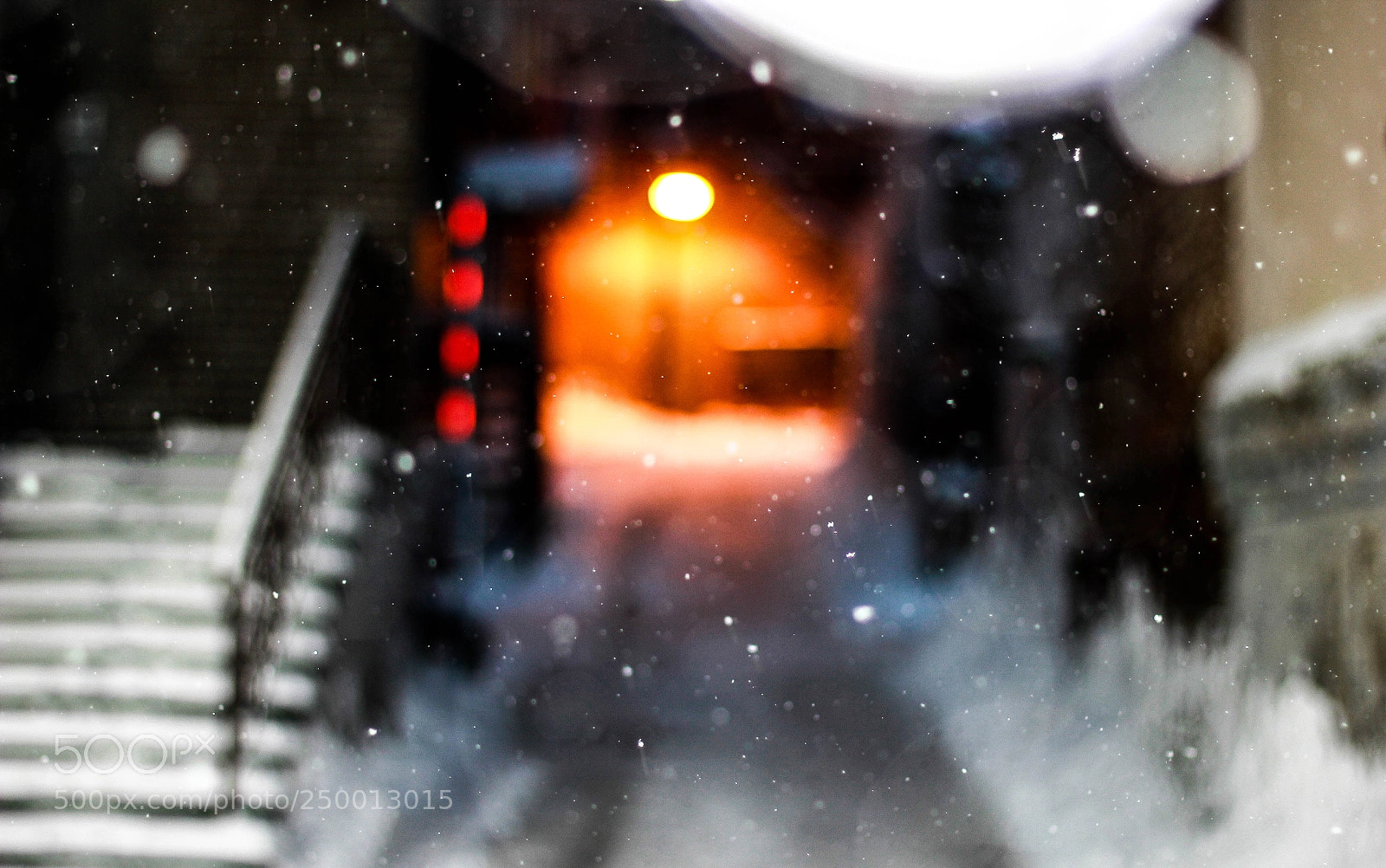 Canon EOS 60D sample photo. Img photography