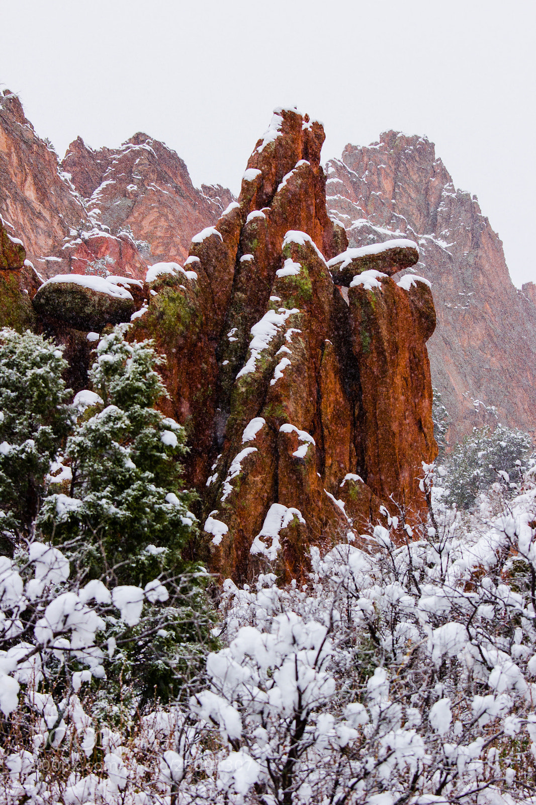 Canon EOS 60D sample photo. Snowfall at garden of photography