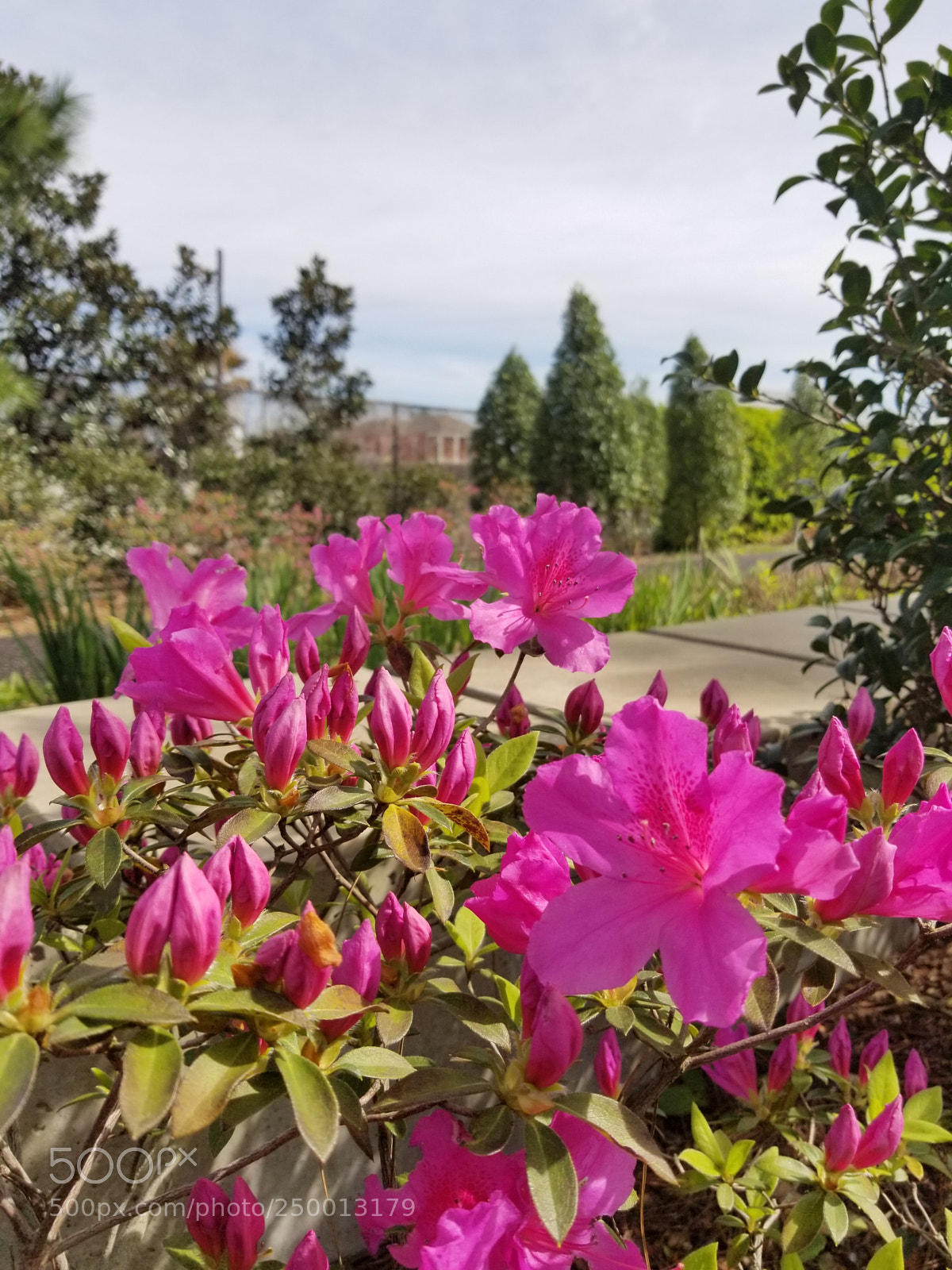 Samsung Galaxy S8+ sample photo. Untitled photography