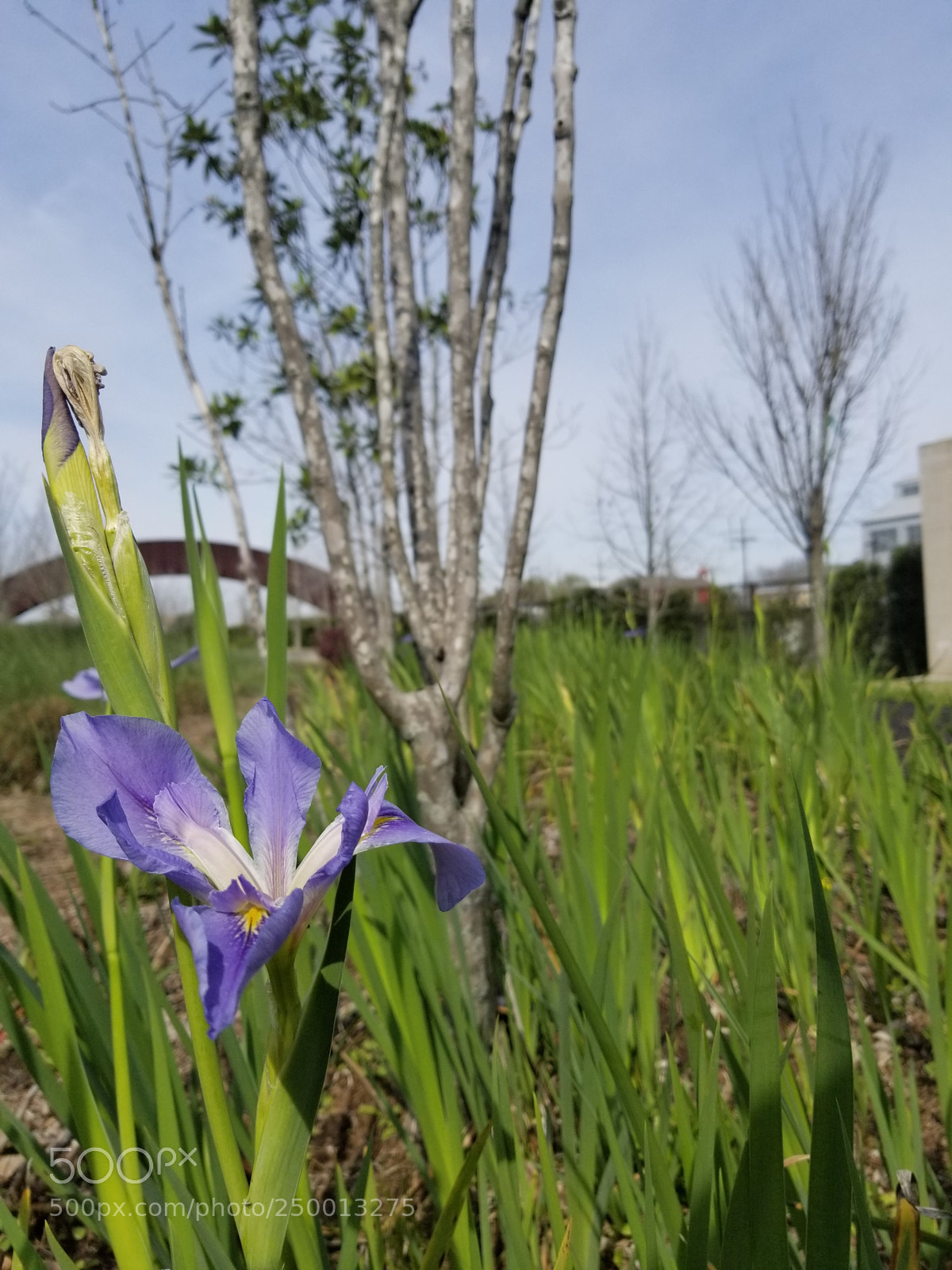 Samsung Galaxy S8+ sample photo. Untitled photography